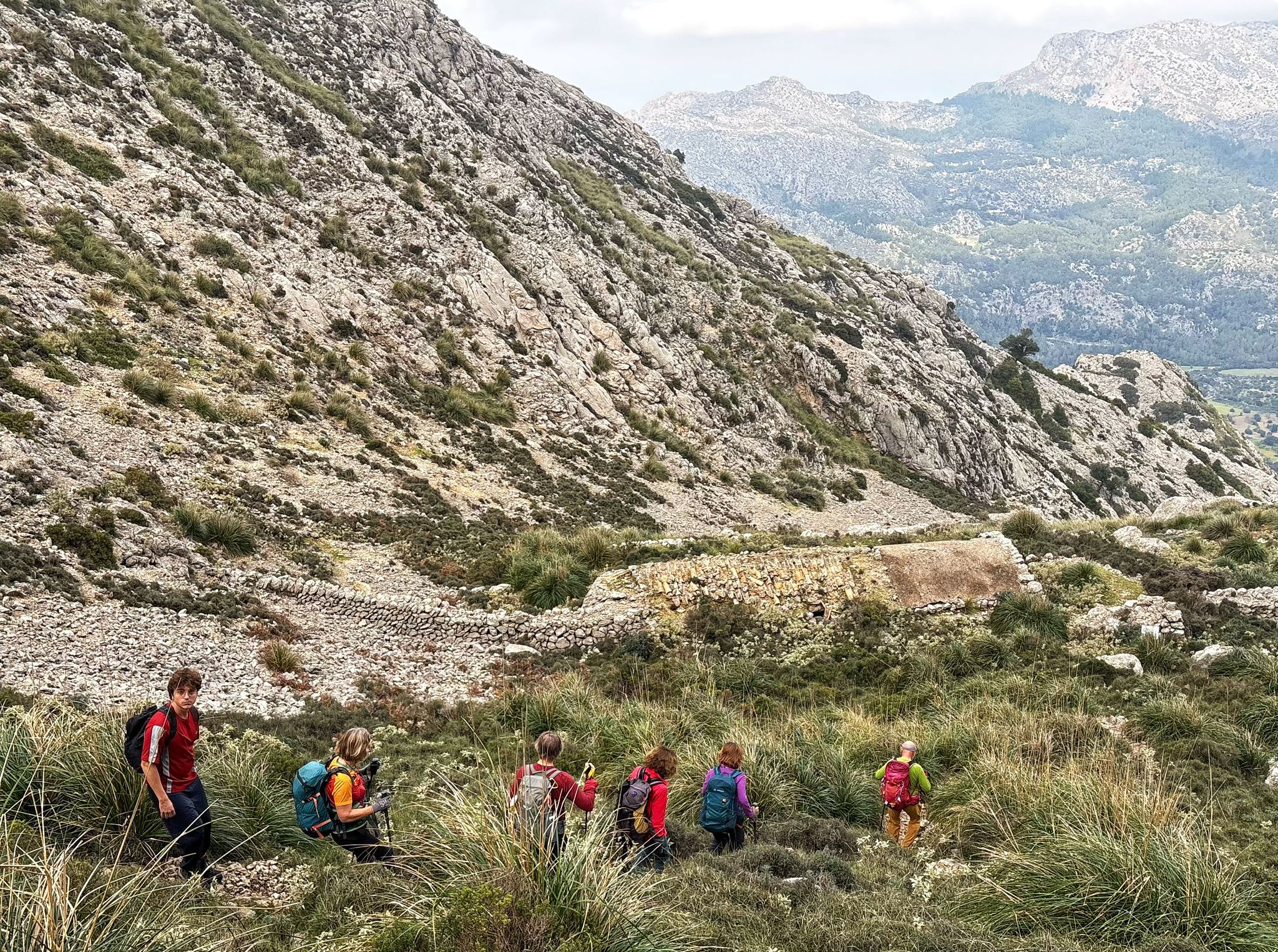 Imatge per al bloc 4