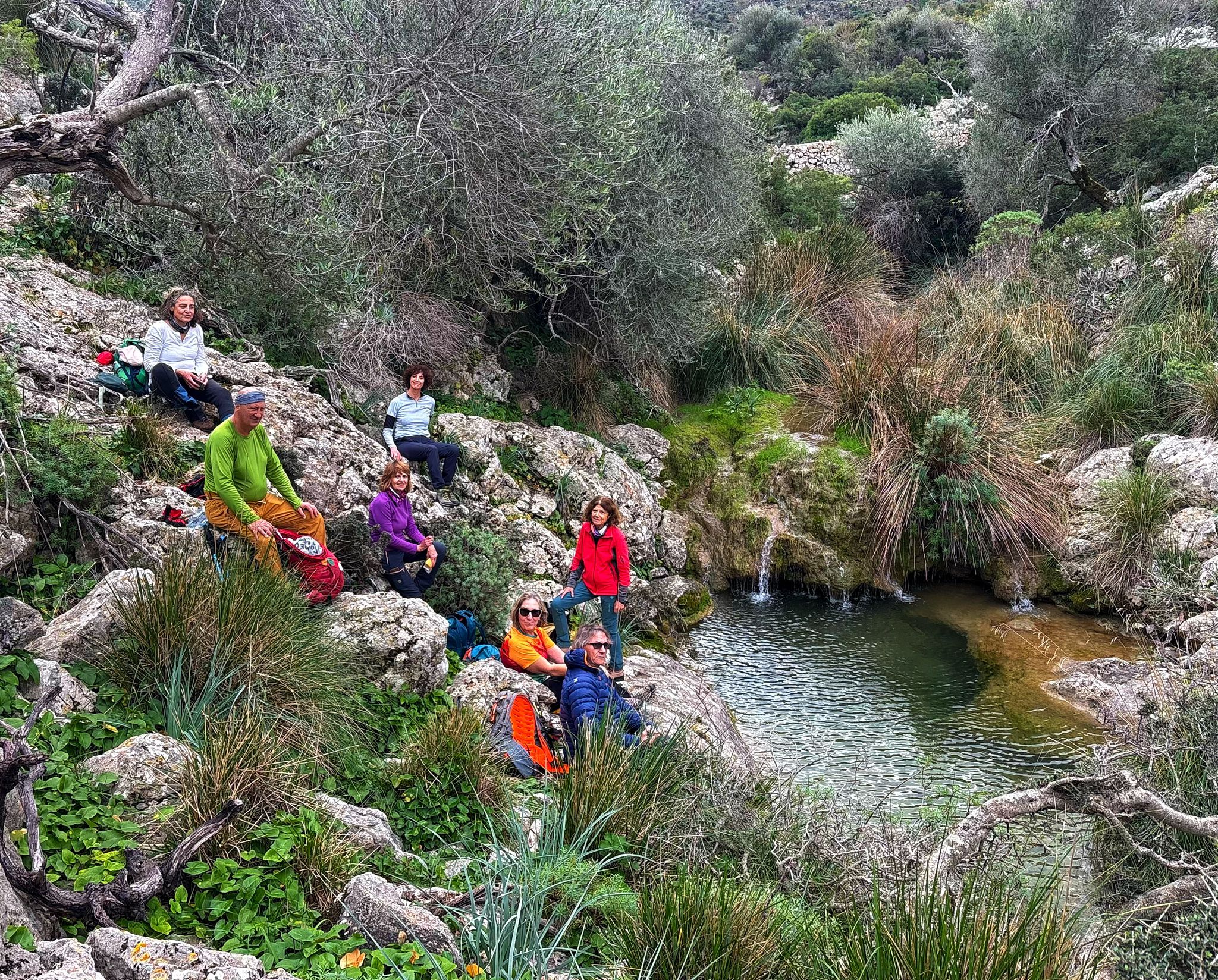 Imatge per al bloc 5