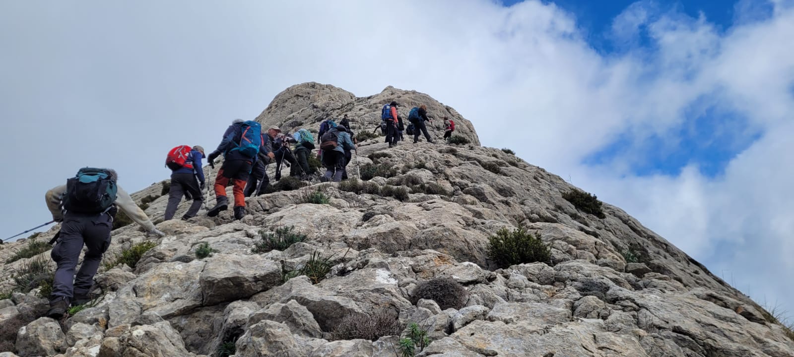 Imatge per al bloc 4