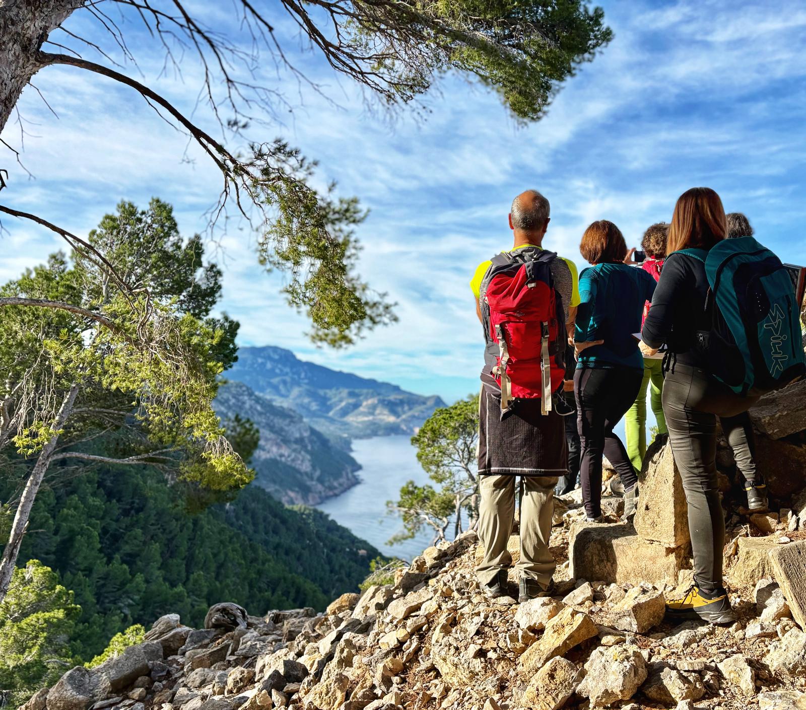 Imatge per al bloc 5