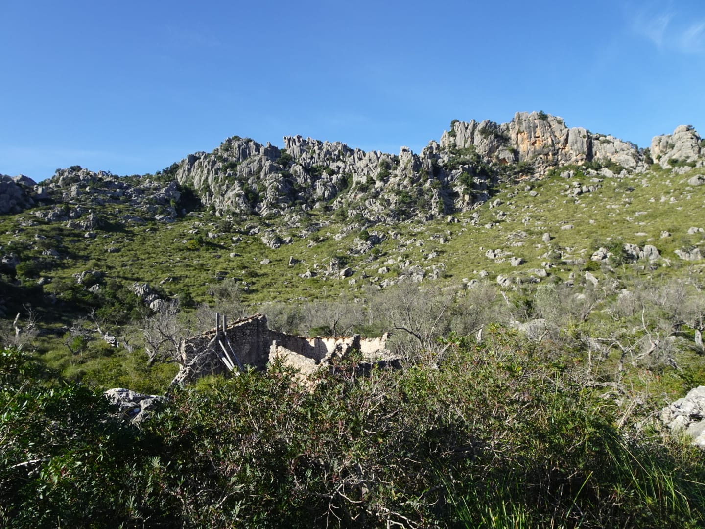 Imatge per al bloc 4