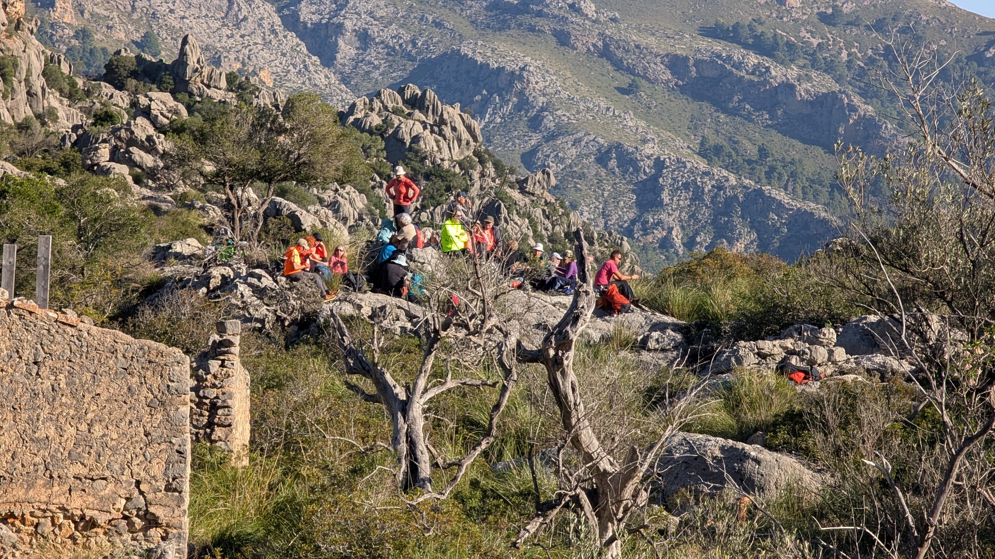 Imatge per al bloc 3