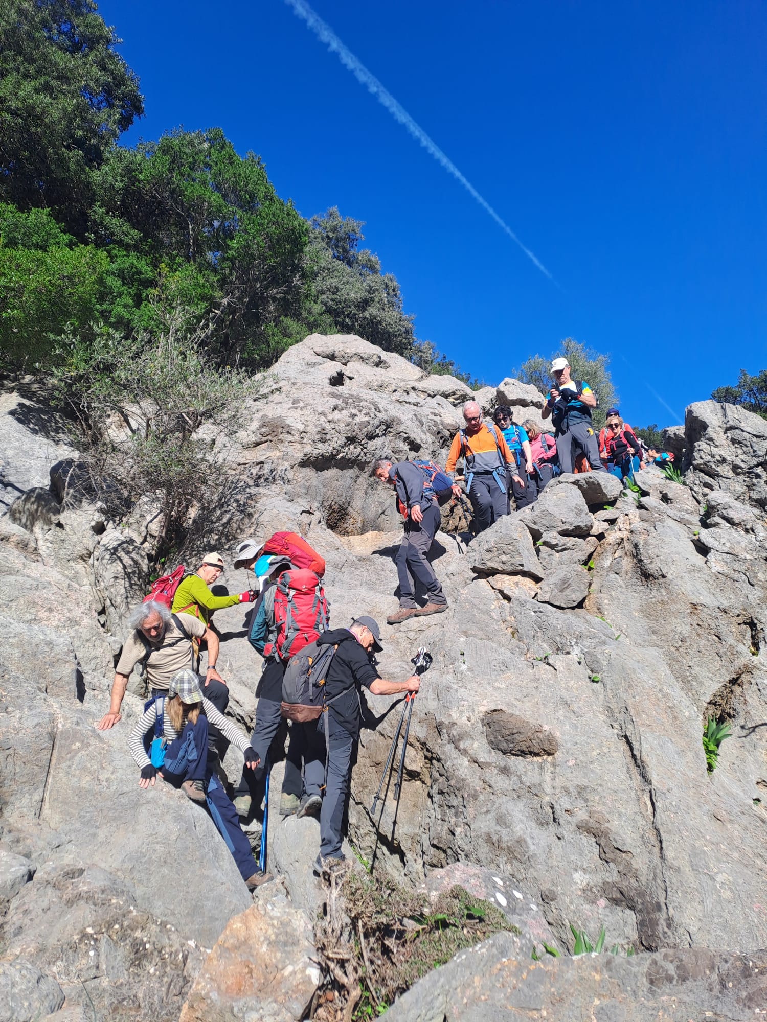 Imatge per al bloc 8