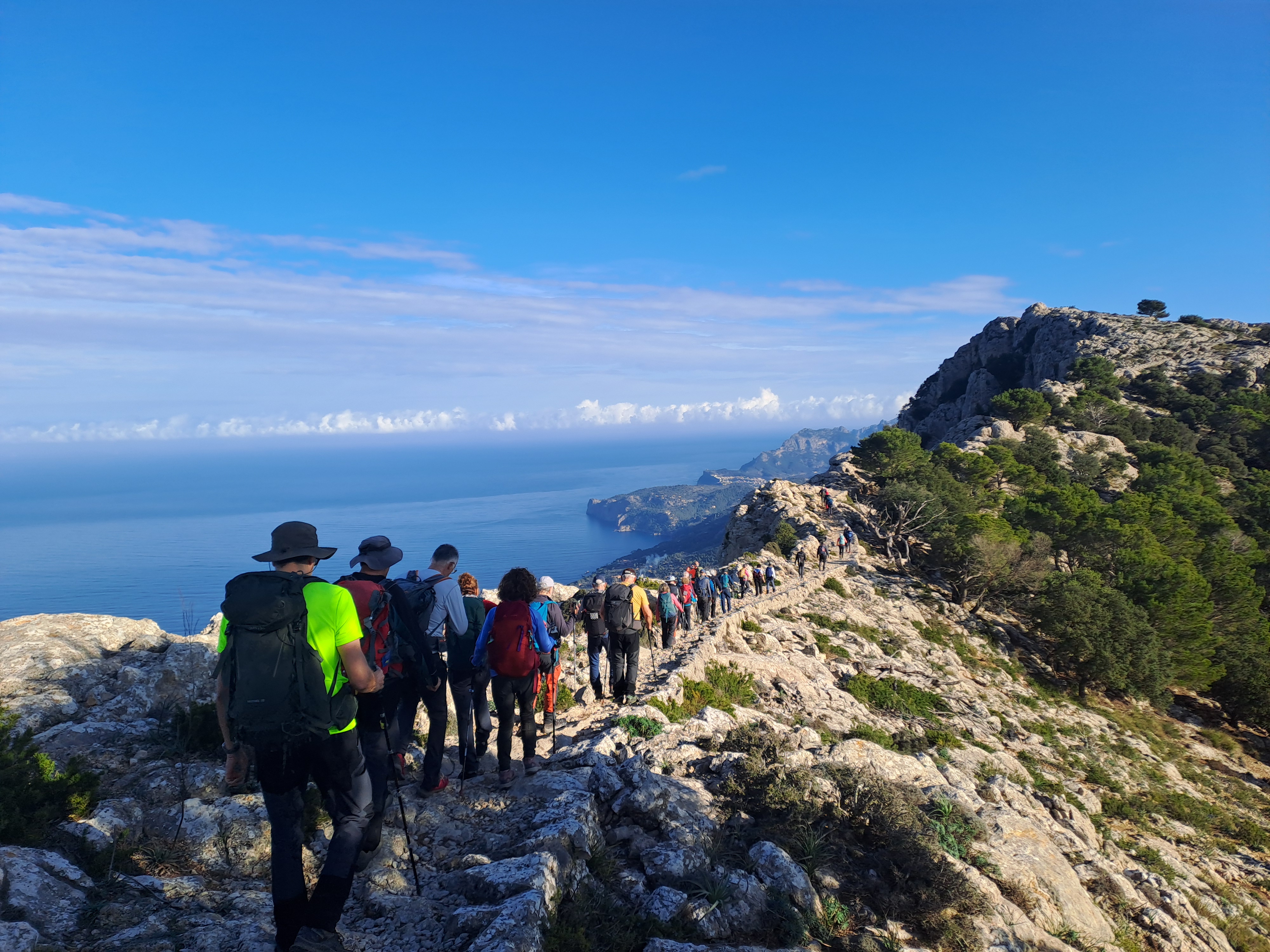 Imatge per al bloc 4