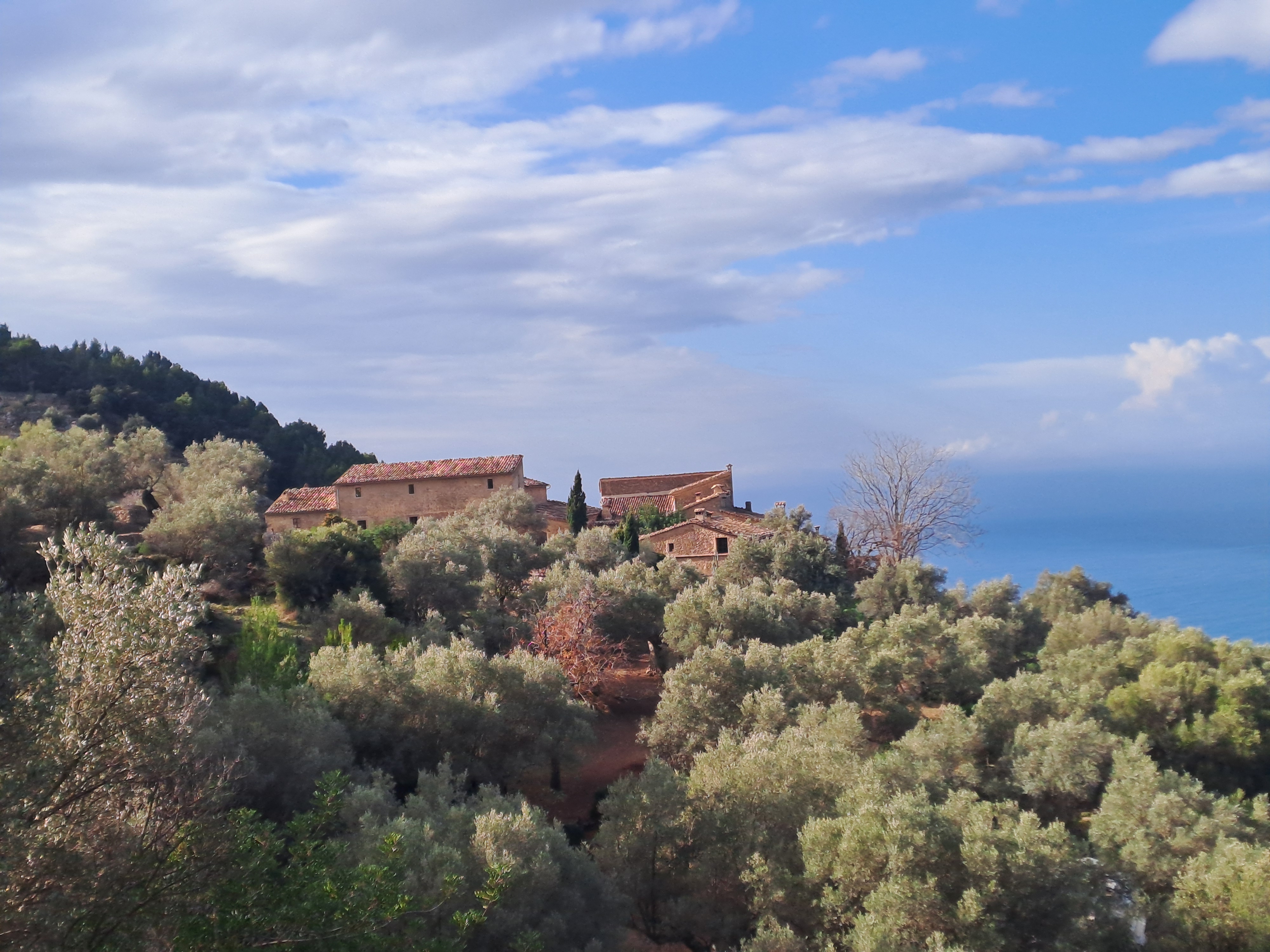 Imatge per al bloc 5