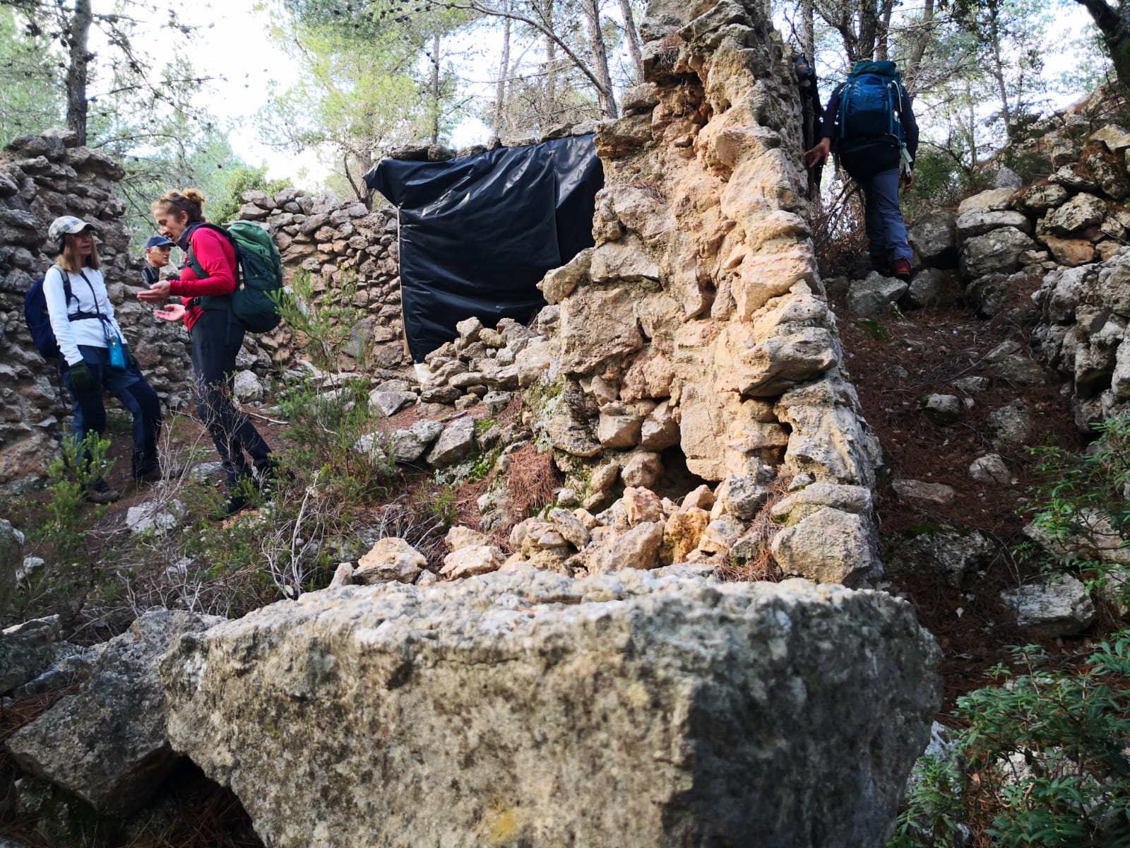 Imatge per al bloc 6