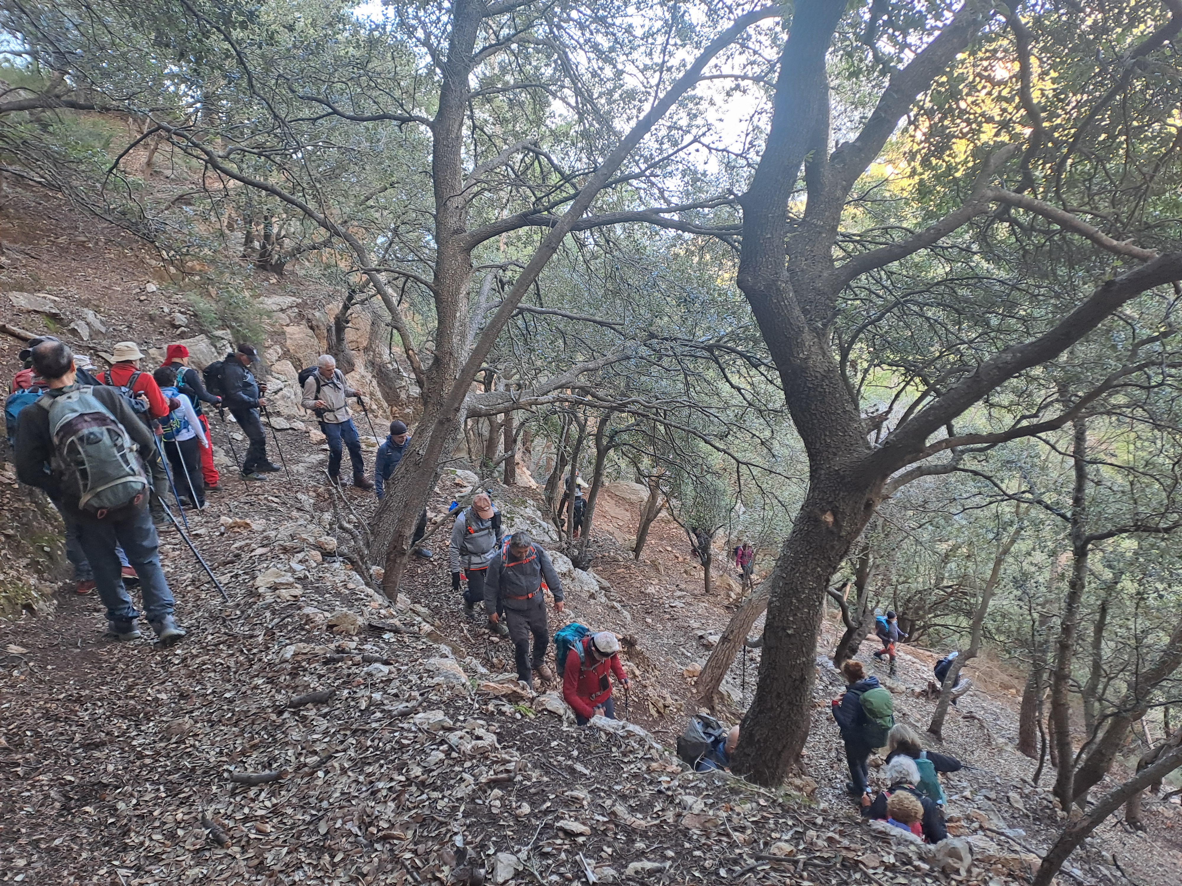 Imatge per al bloc 7