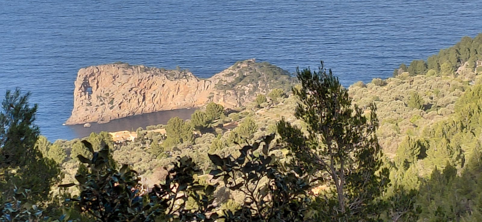 Imatge afegida al final