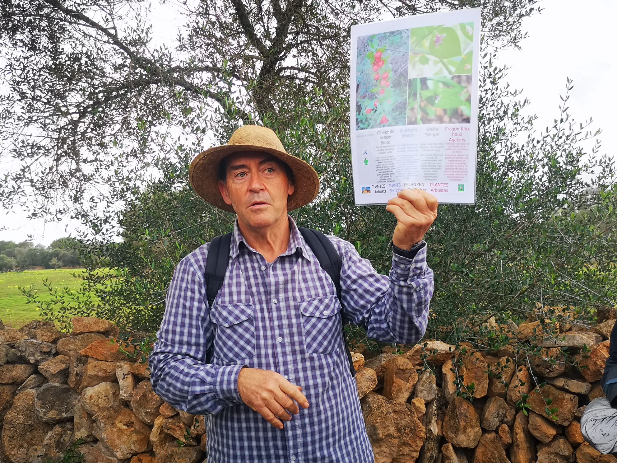 Imatge per al bloc 4