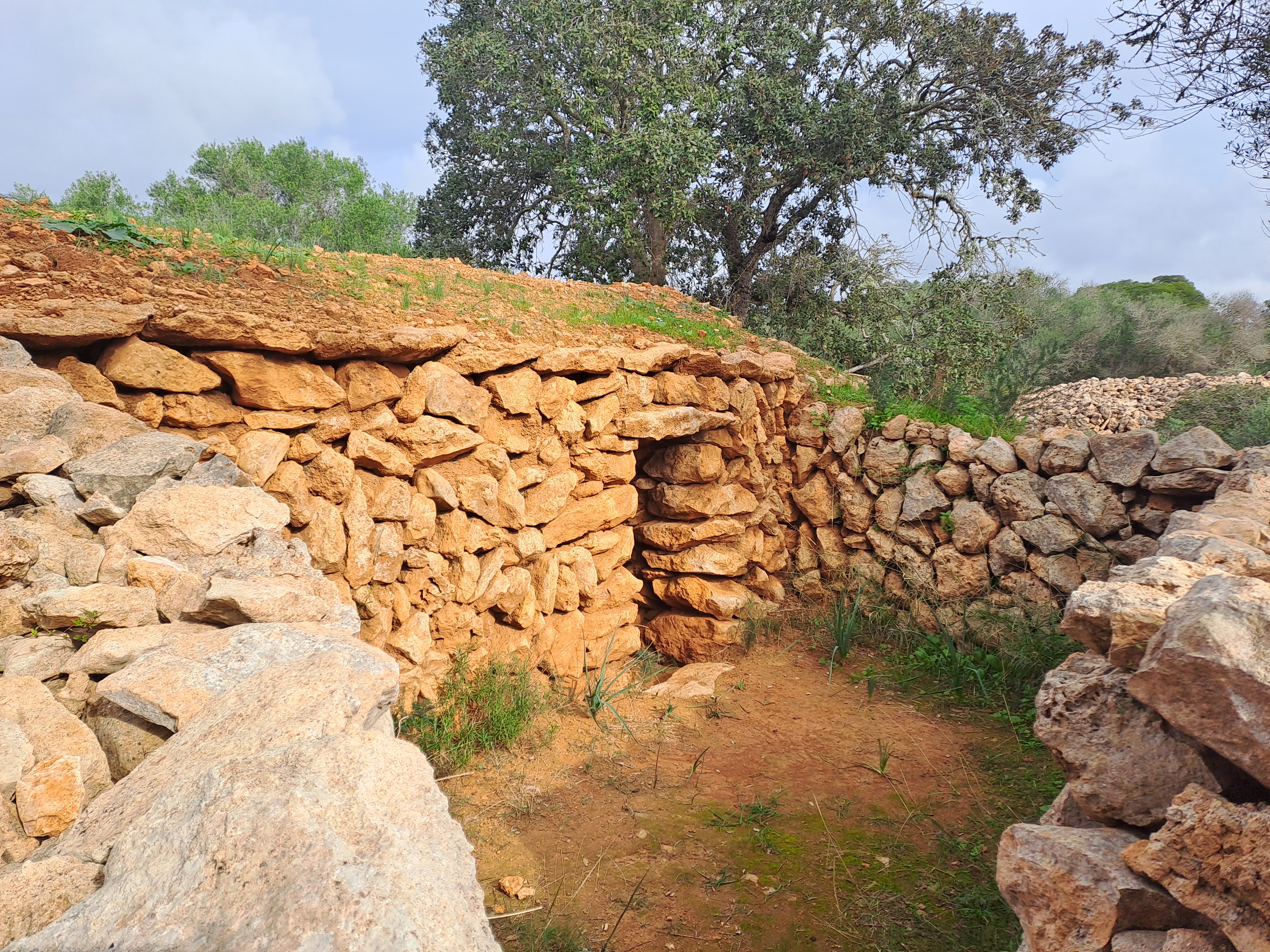 Imatge per al bloc 12