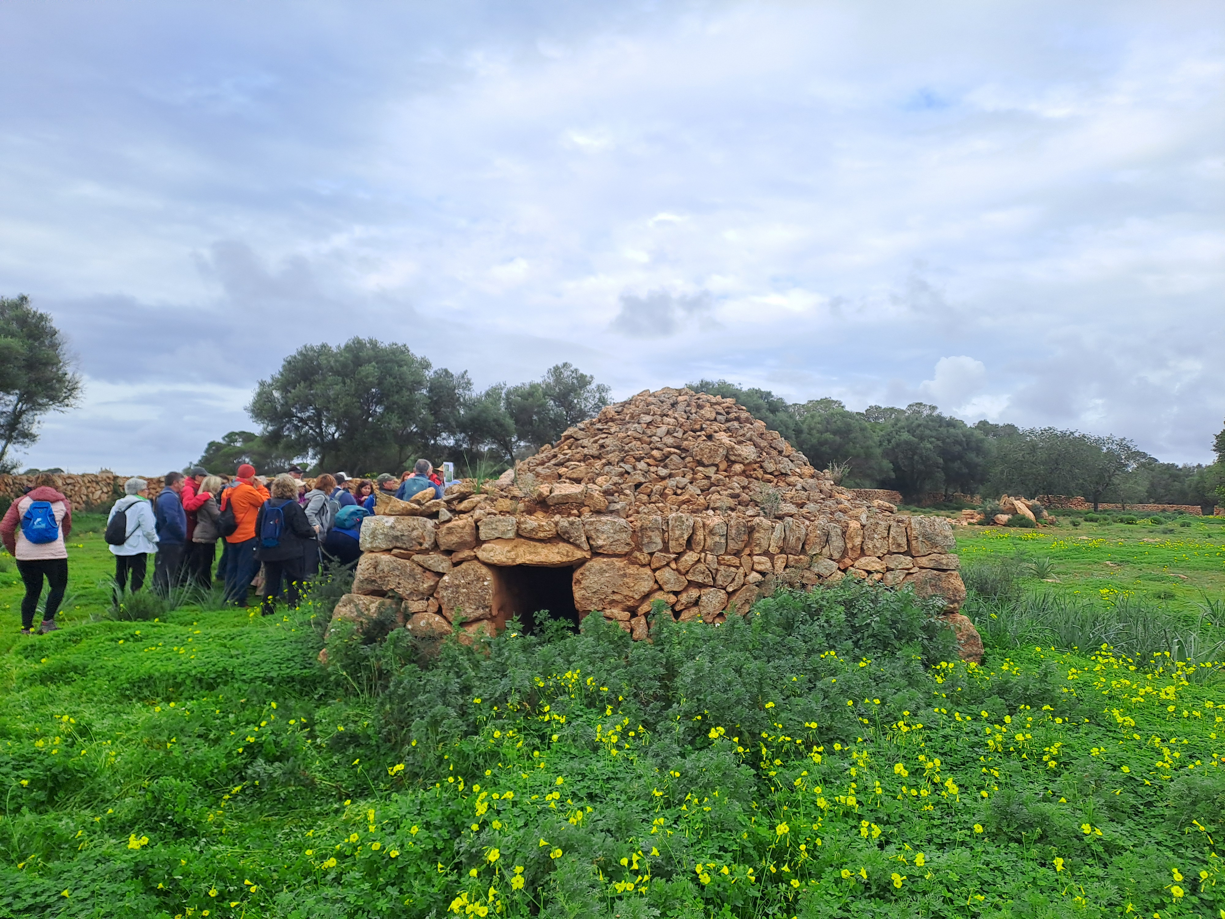 Imatge per al bloc 13