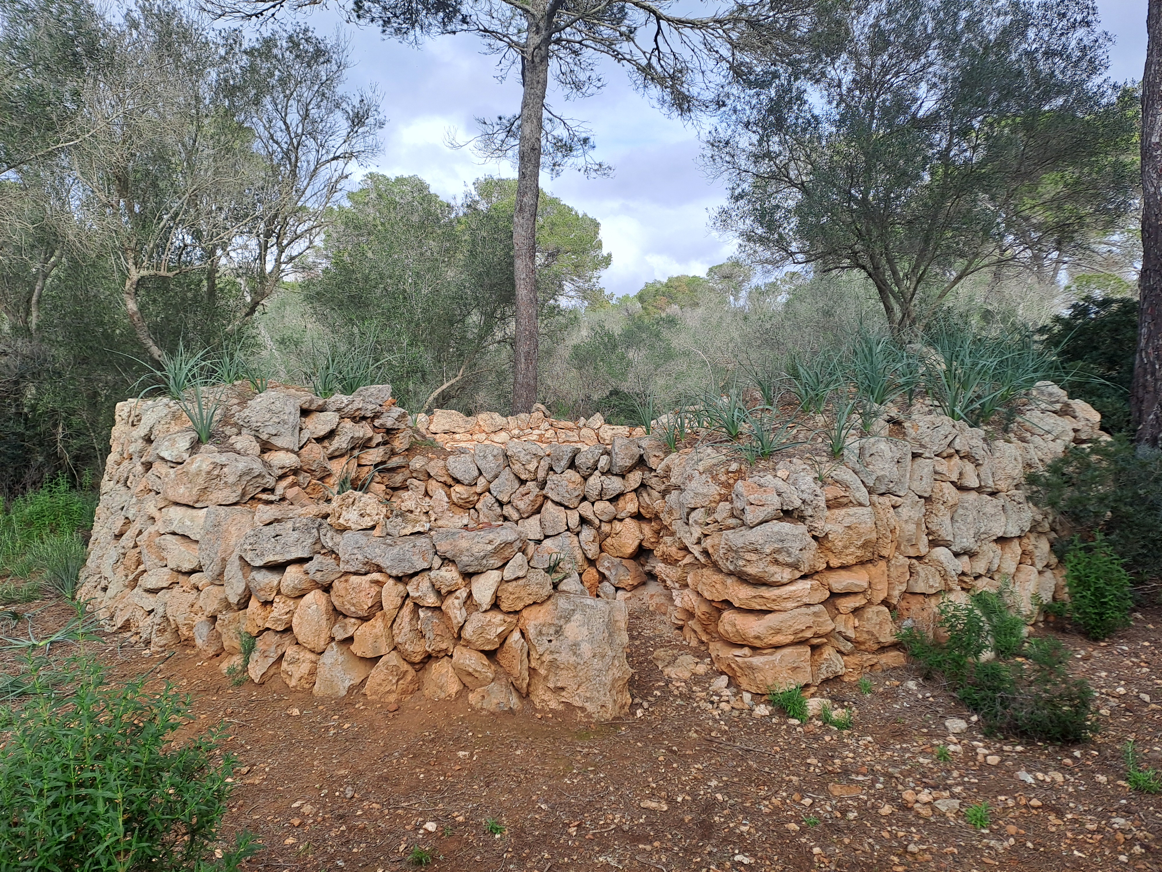 Imatge per al bloc 15