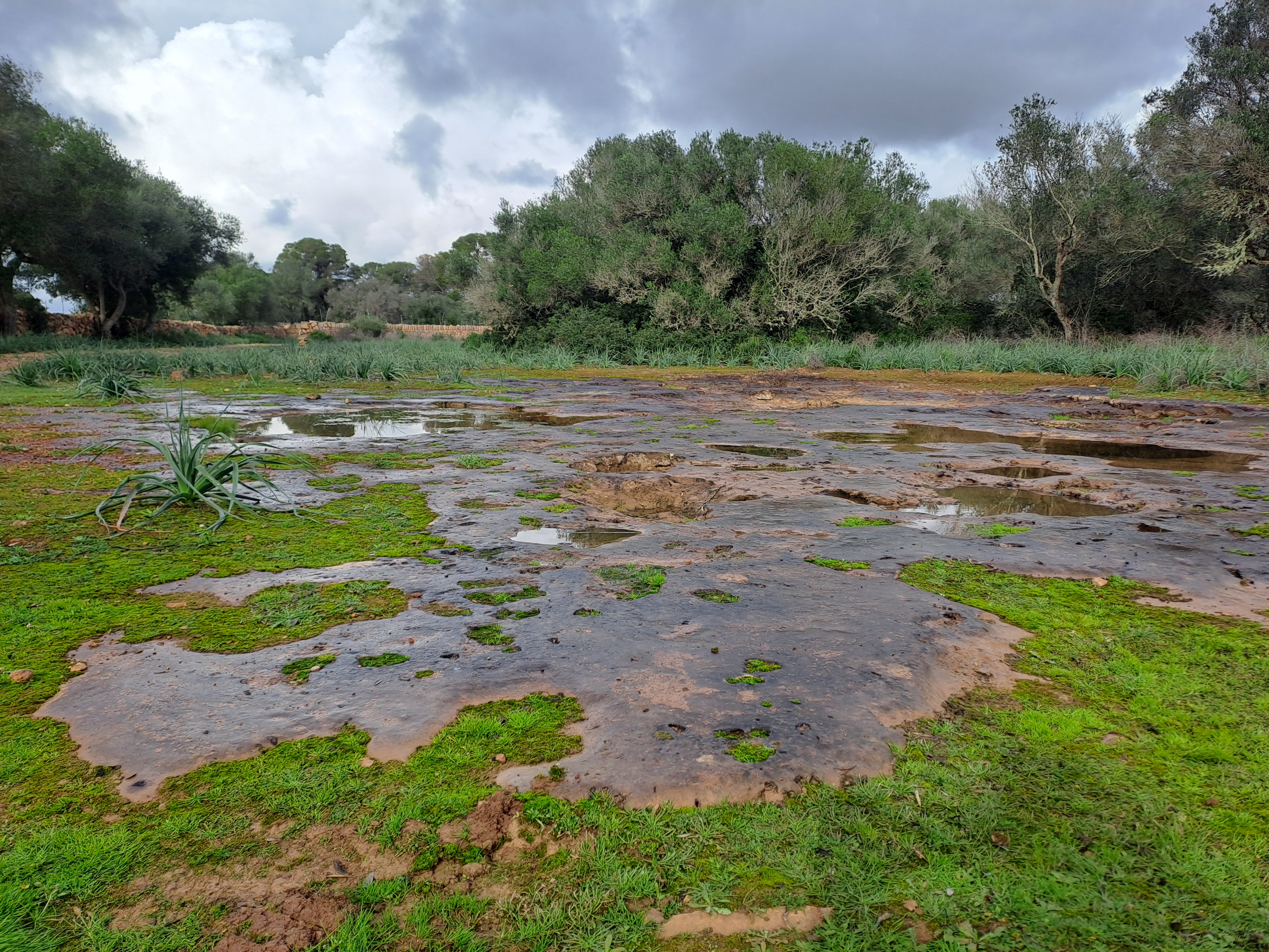 Imatge per al bloc 17