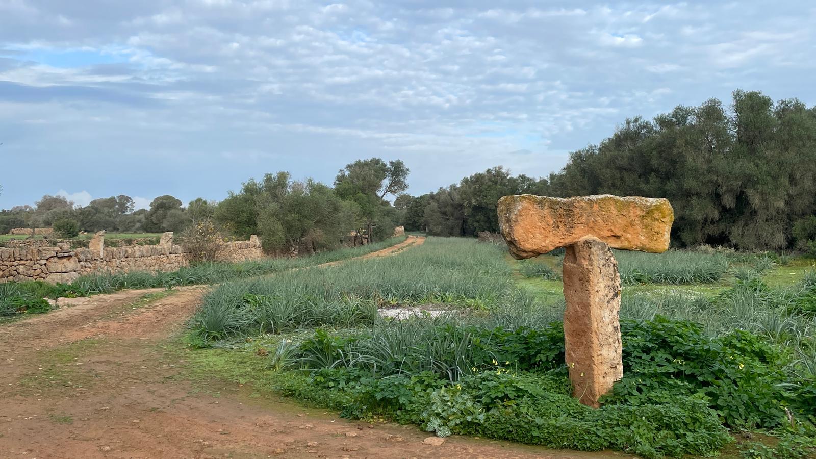 Imatge per al bloc 18