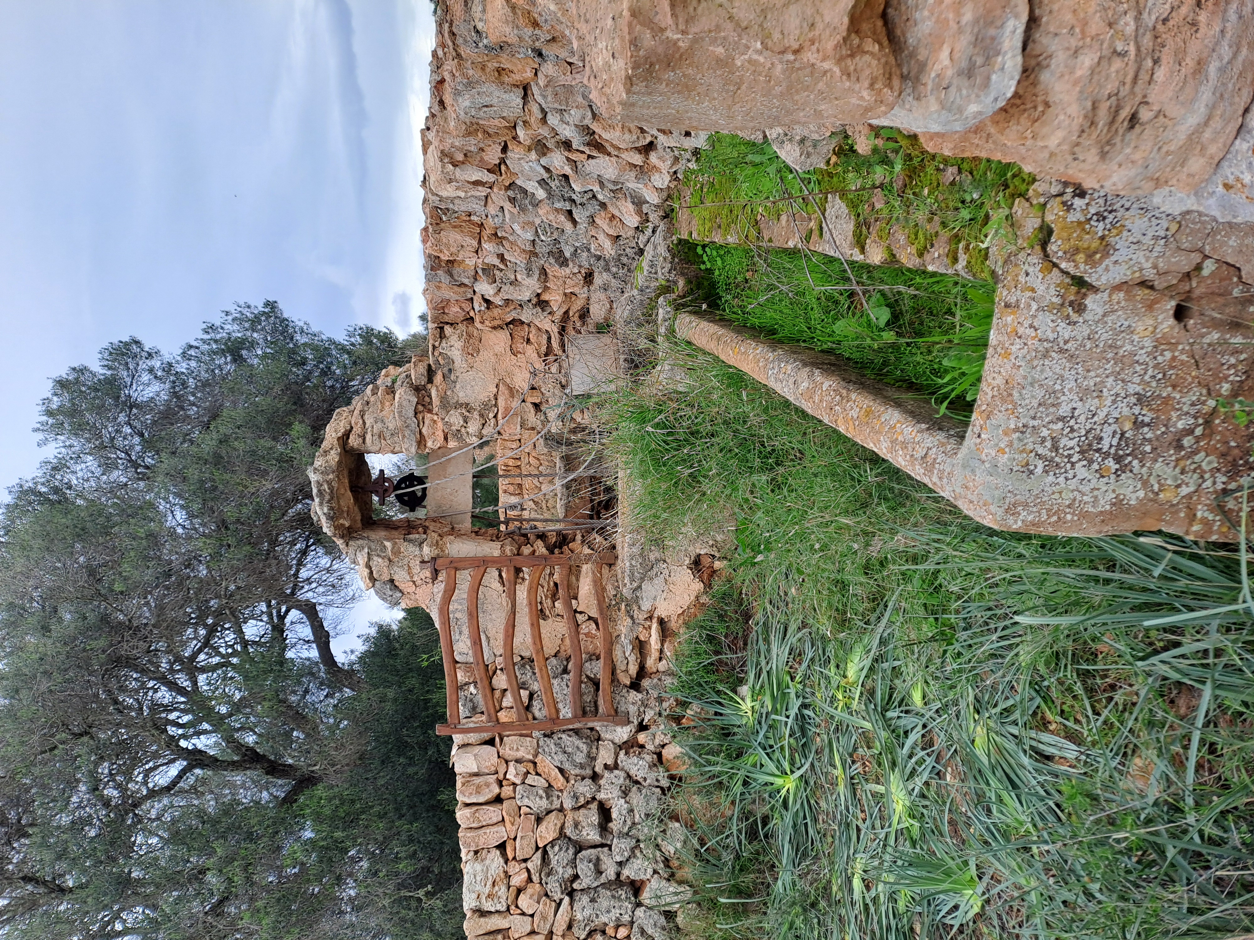 Imatge per al bloc 19