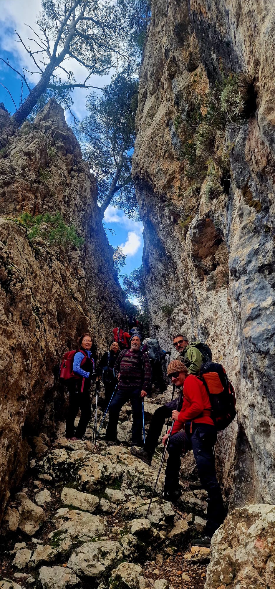 Imatge per al bloc 7