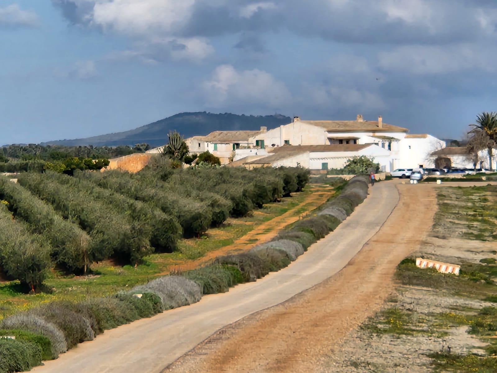 Imatge per al bloc 3