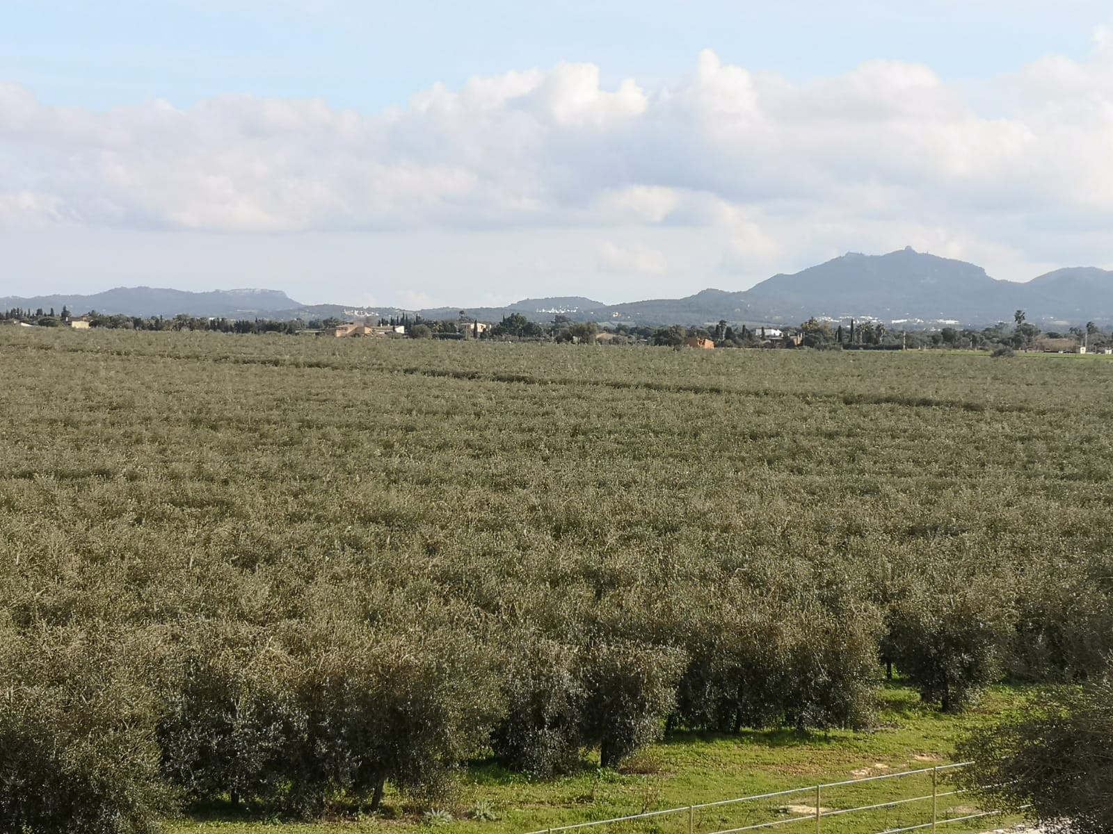 Imatge per al bloc 8