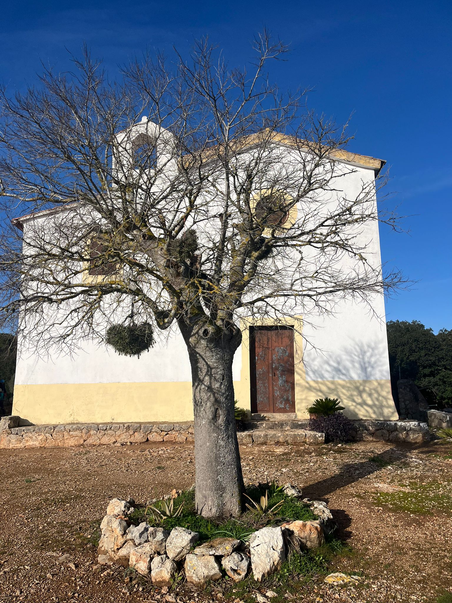 Imatge per al bloc 5