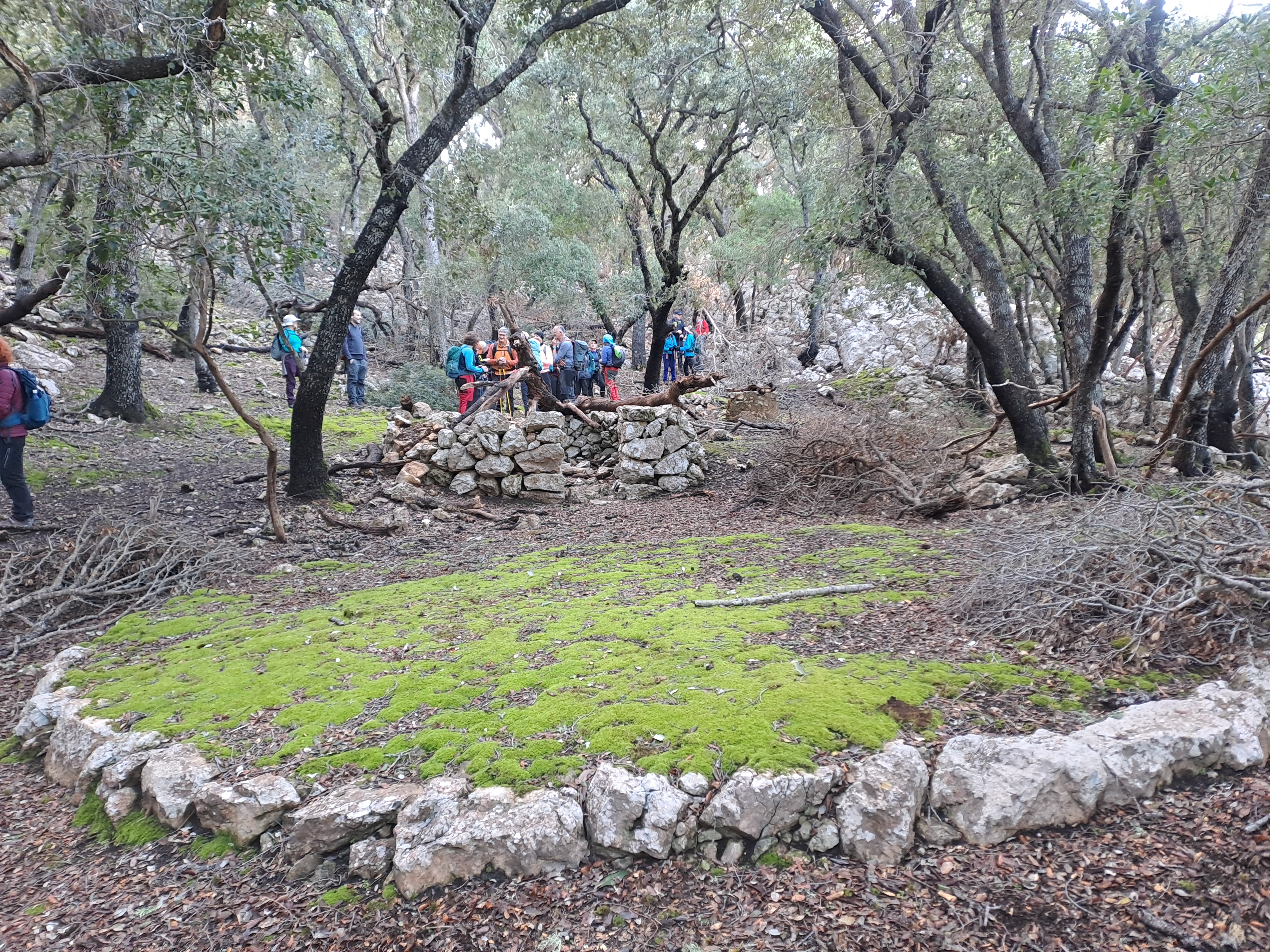 Imatge per al bloc 6