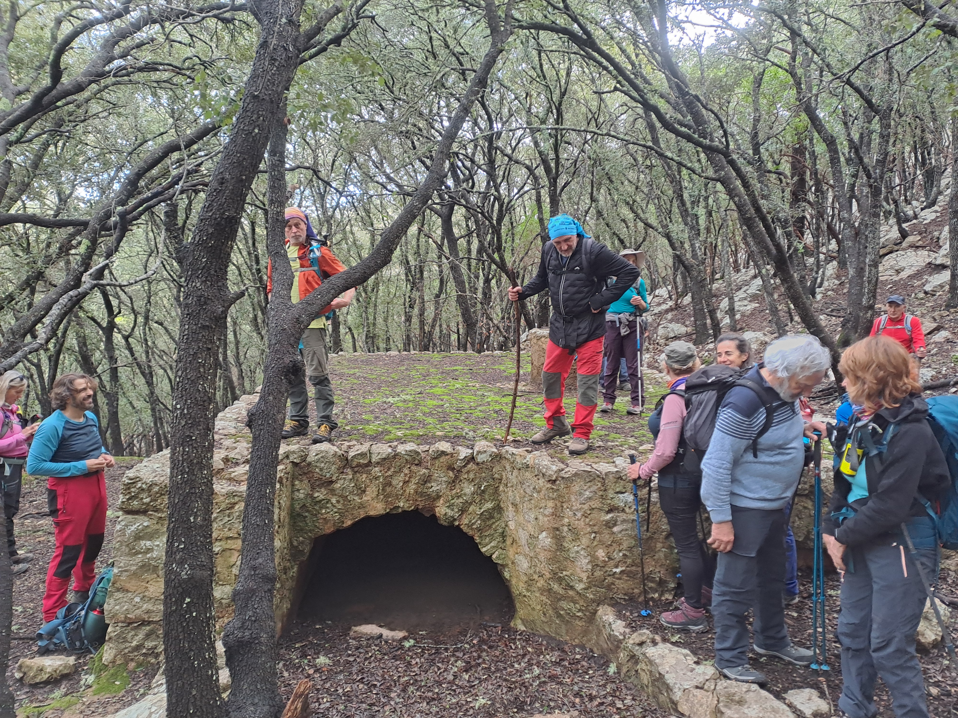 Imatge per al bloc 7