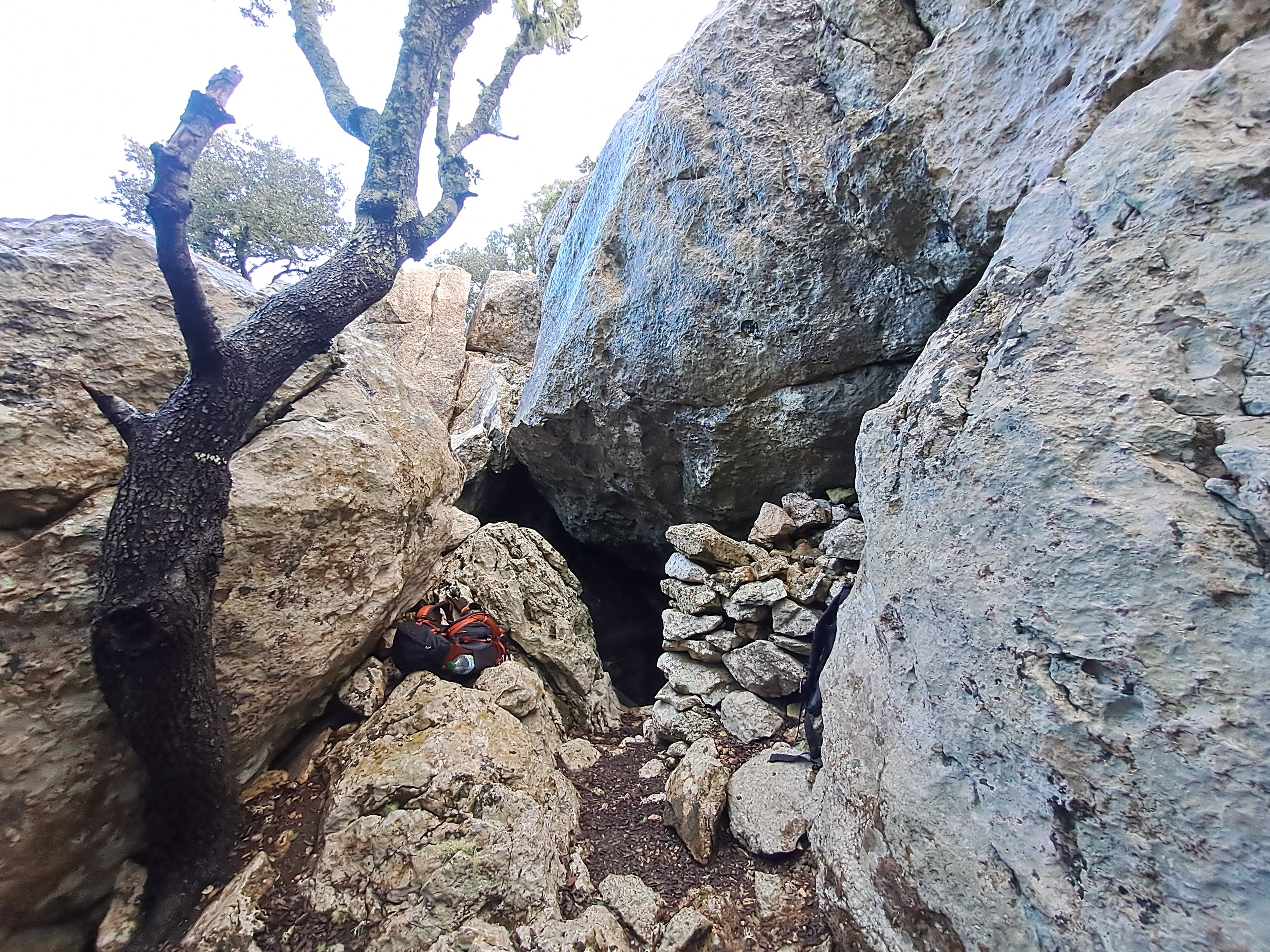 Imatge per al bloc 12