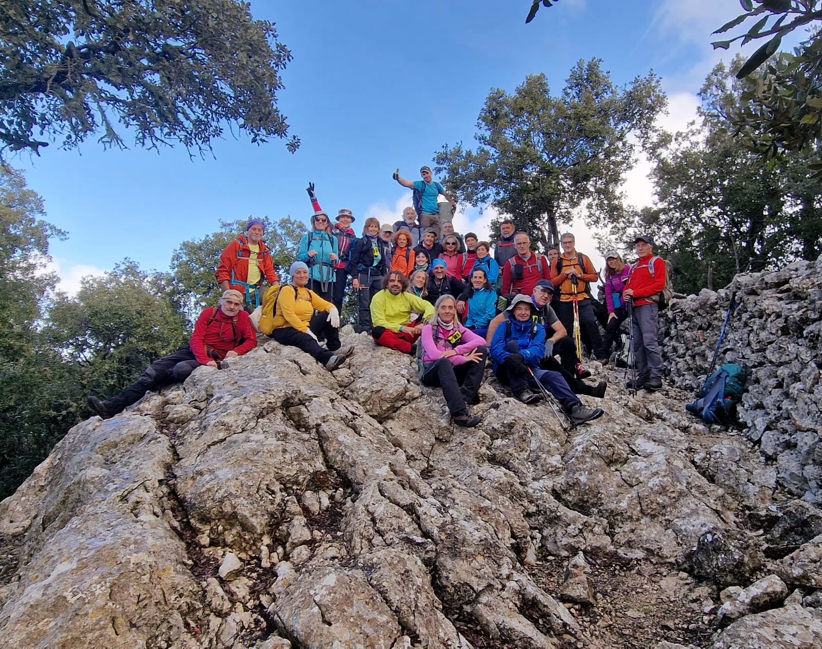 Imatge per al bloc 15