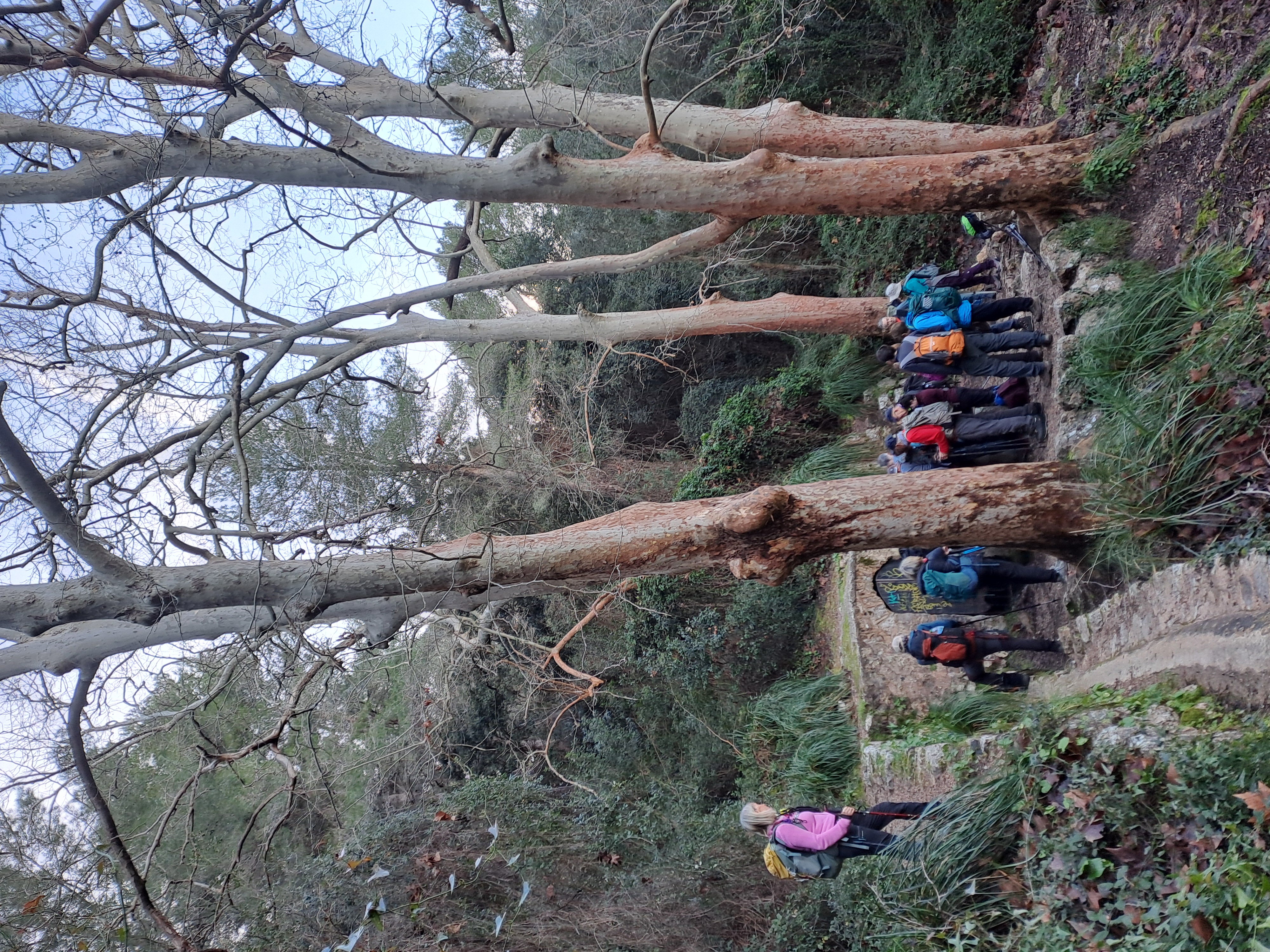 Imatge per al bloc 17