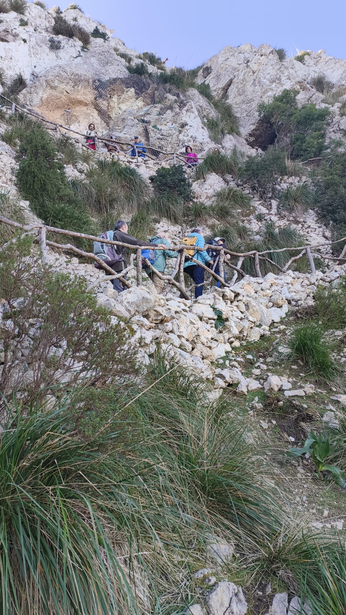 Imatge per al bloc 5