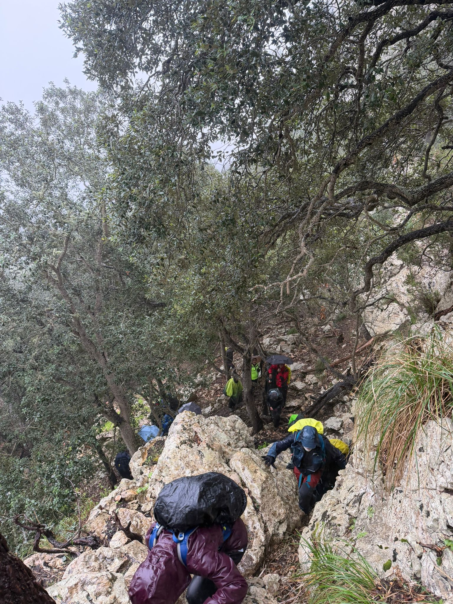 Imatge per al bloc 4