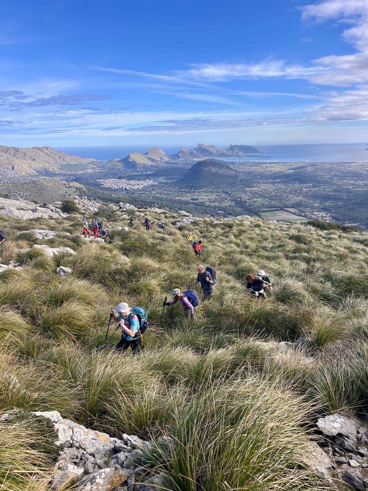 Imatge per al bloc 7