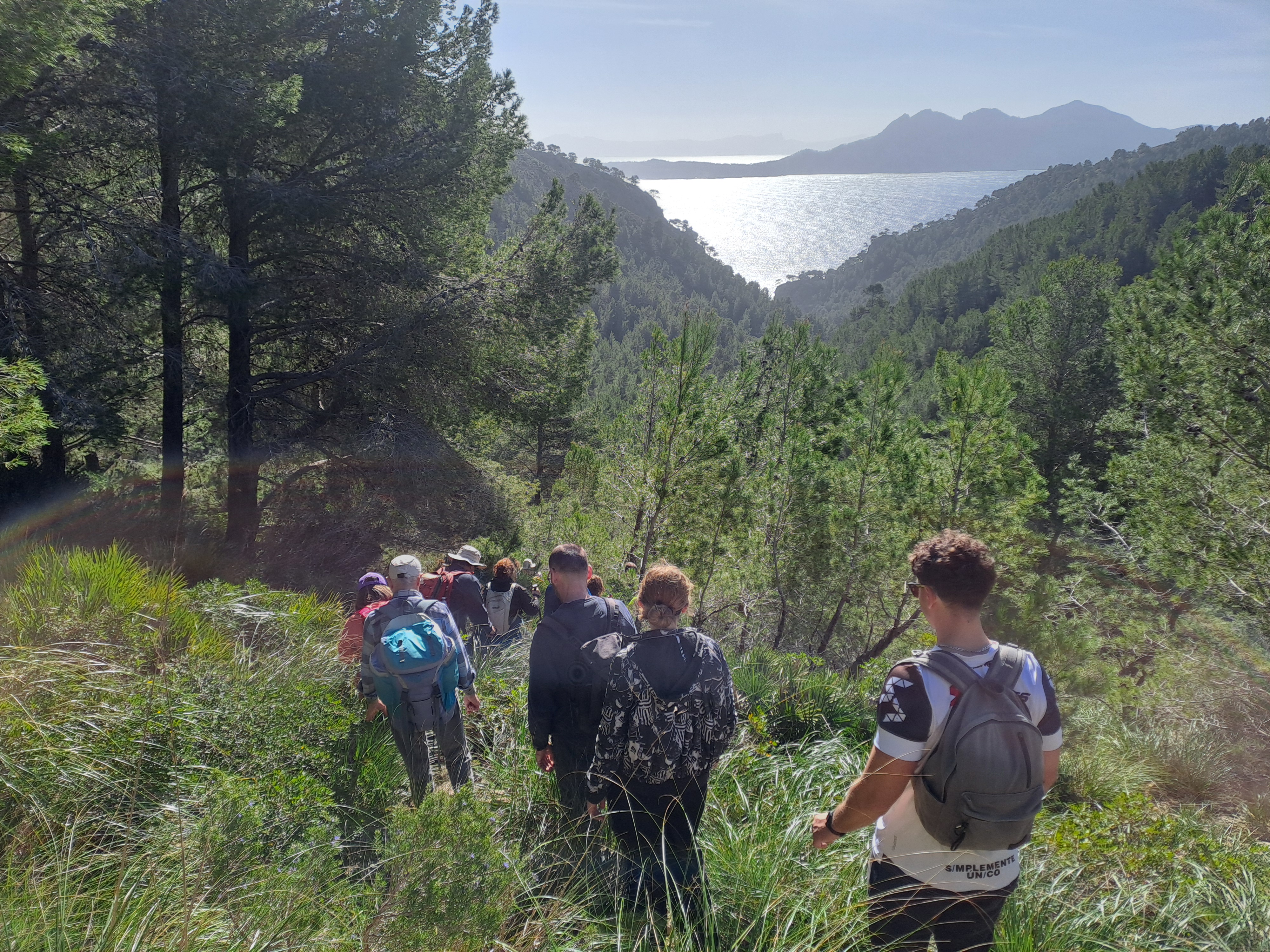 Imatge per al bloc 5