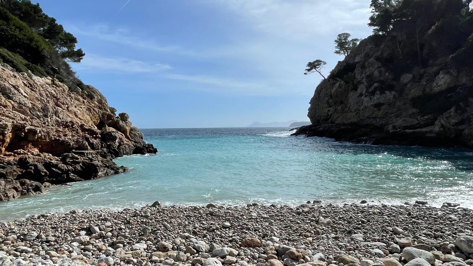 Imatge per al bloc 6