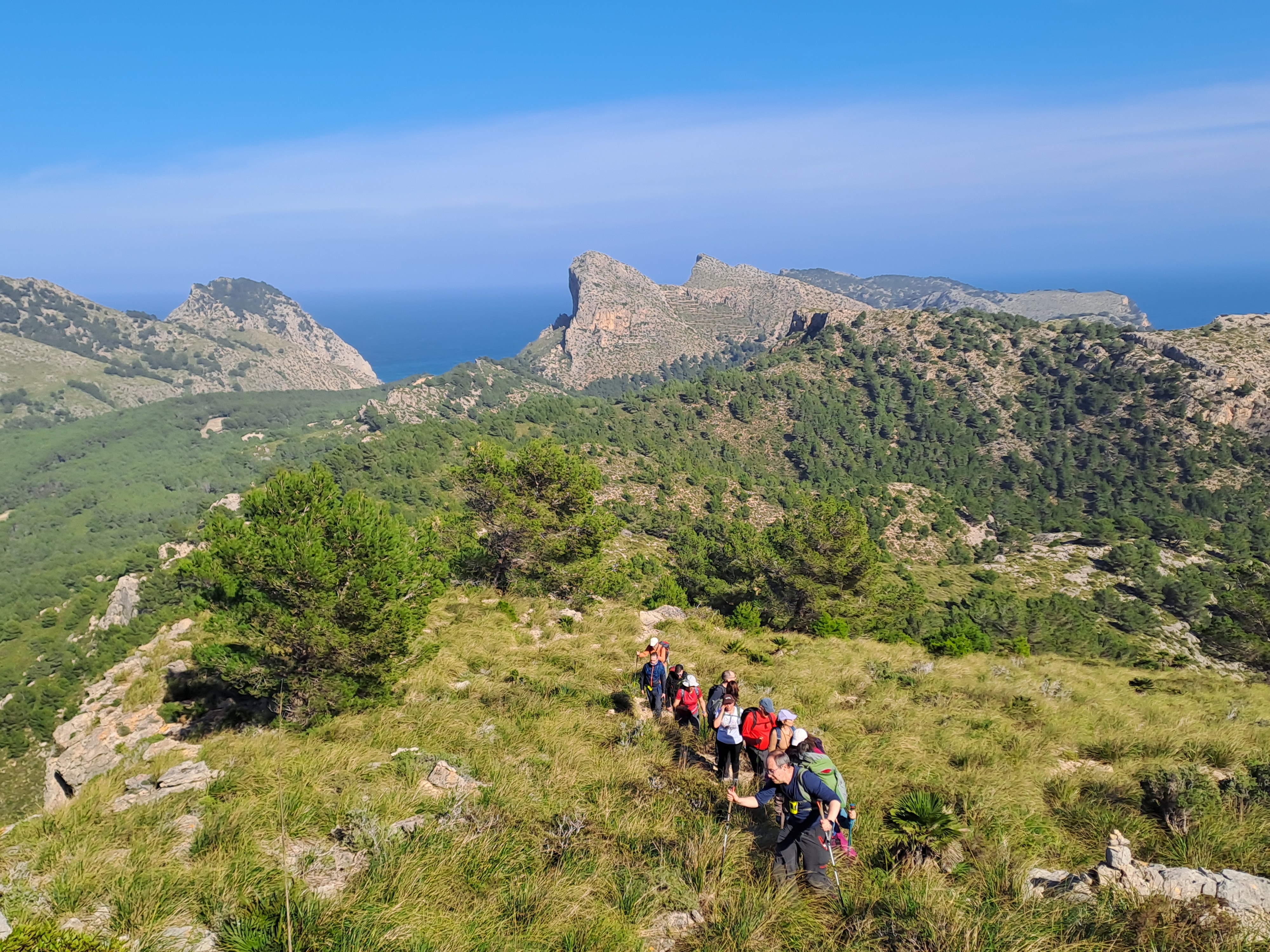 Imatge per al bloc 11