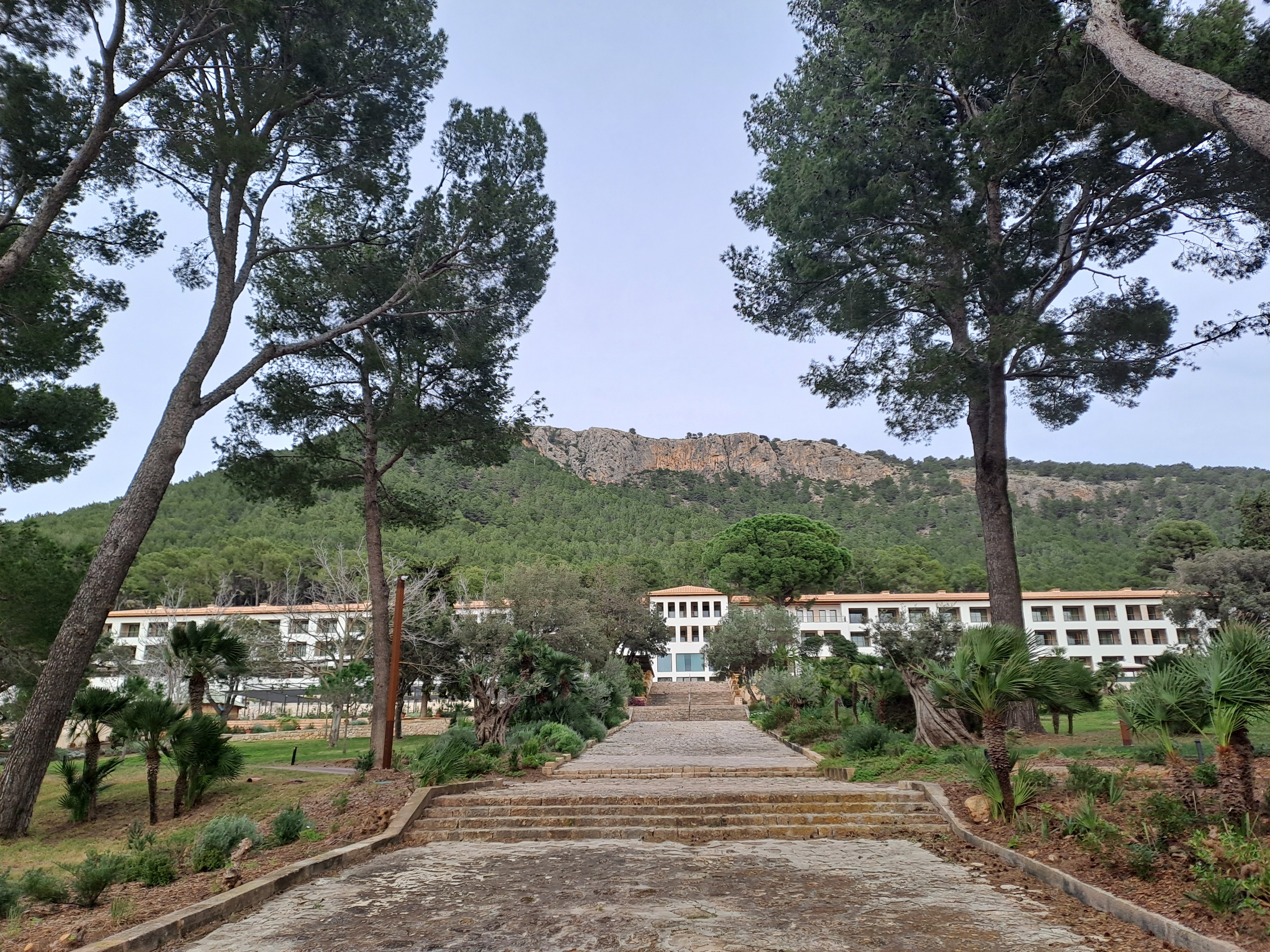 Imatge per al bloc 24