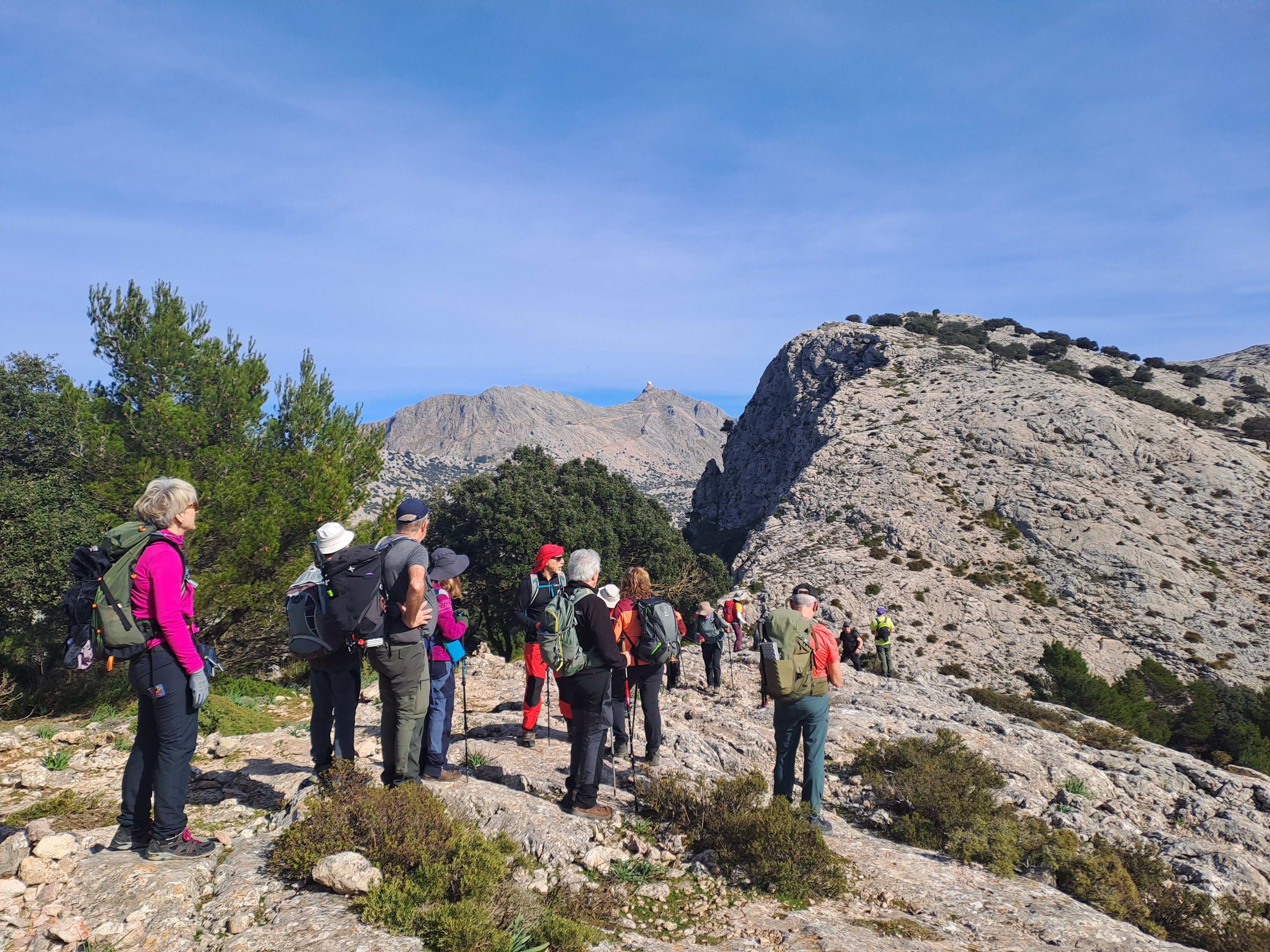Imatge per al bloc 17
