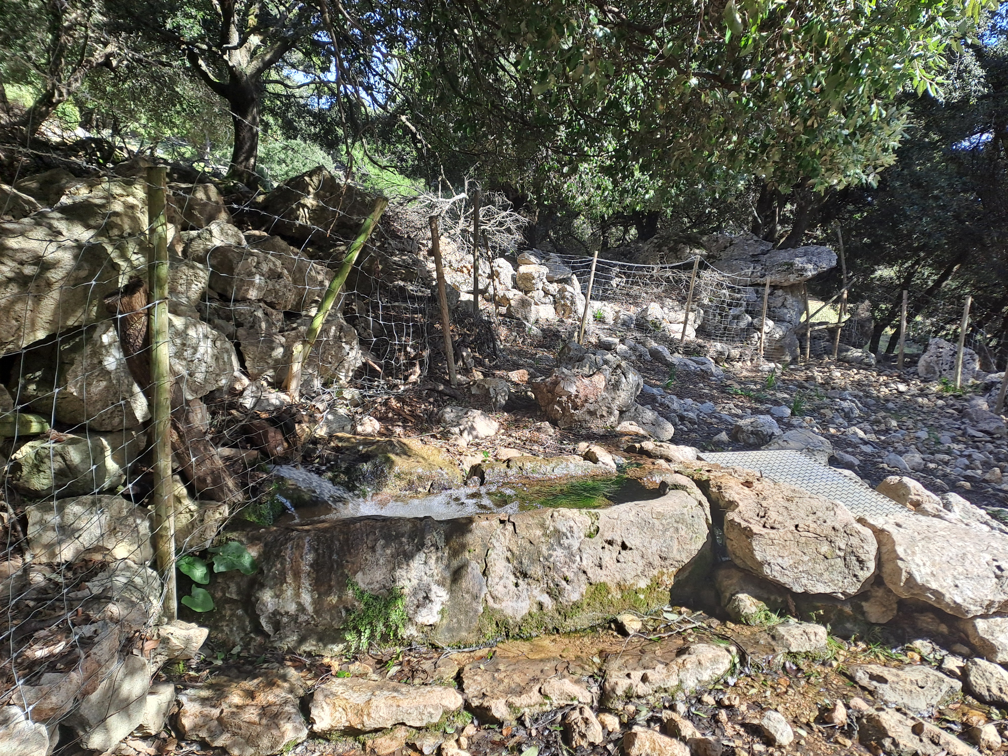 Imatge per al bloc 19