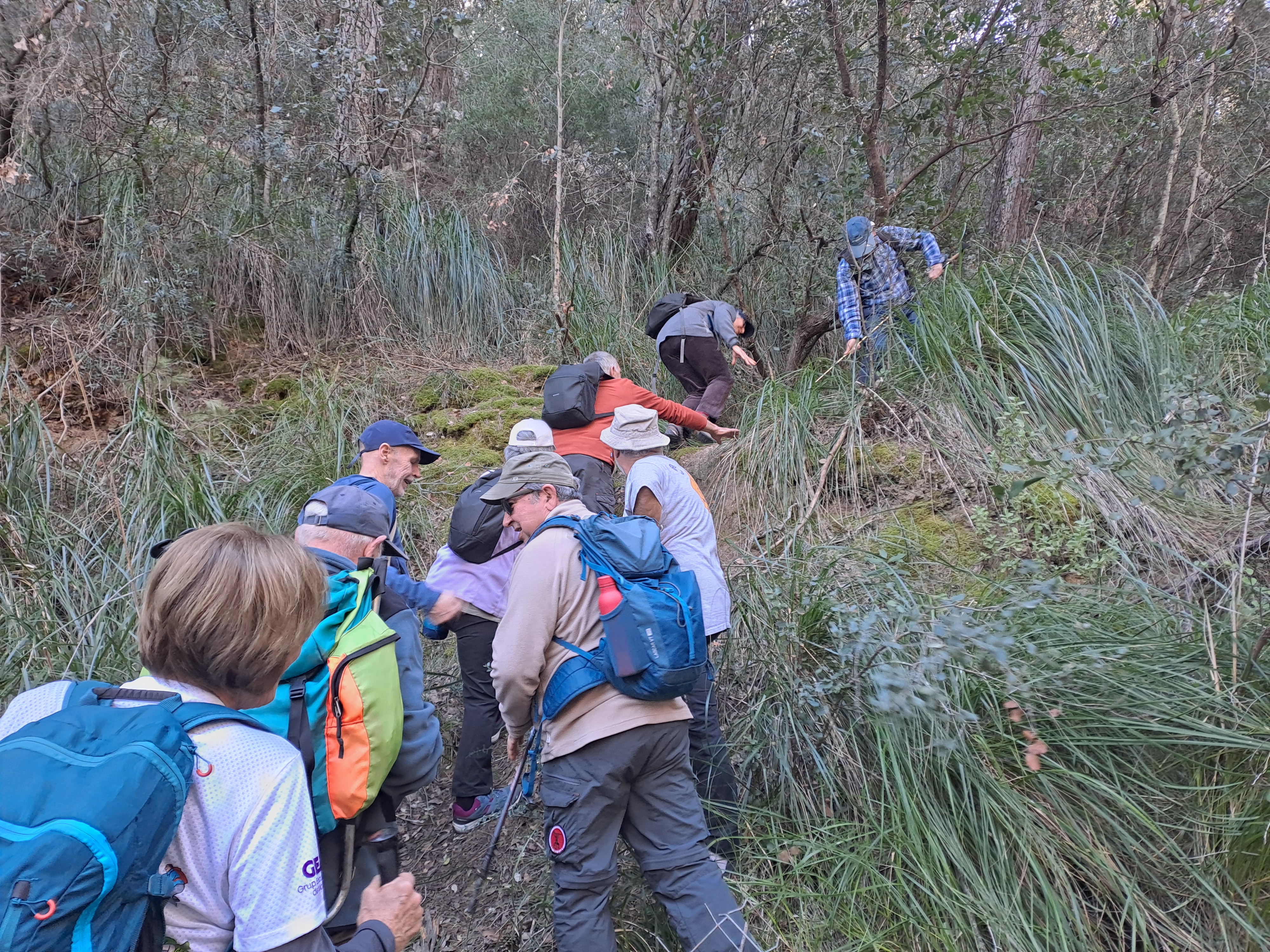 Imatge per al bloc 4