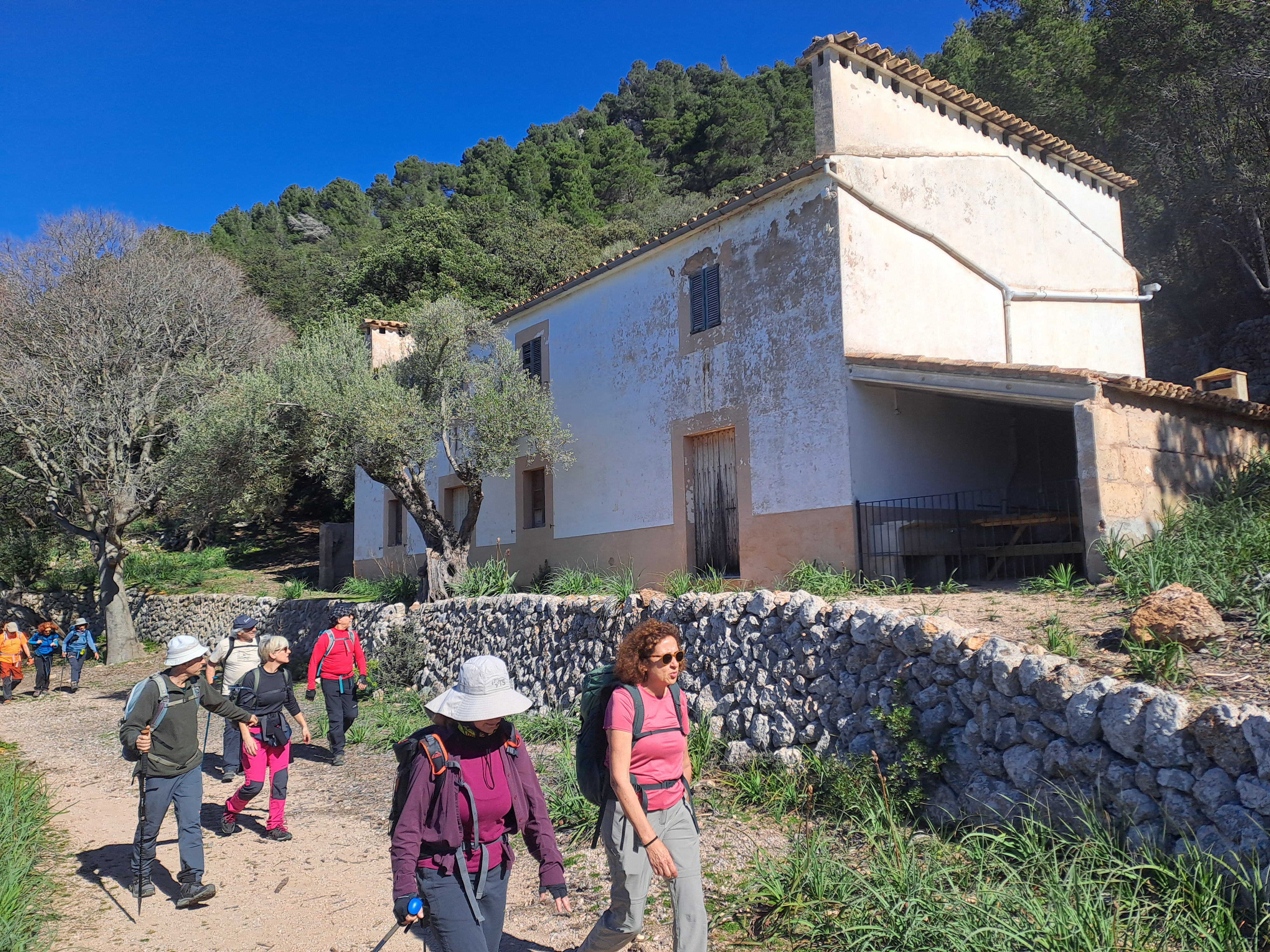 Imatge per al bloc 11