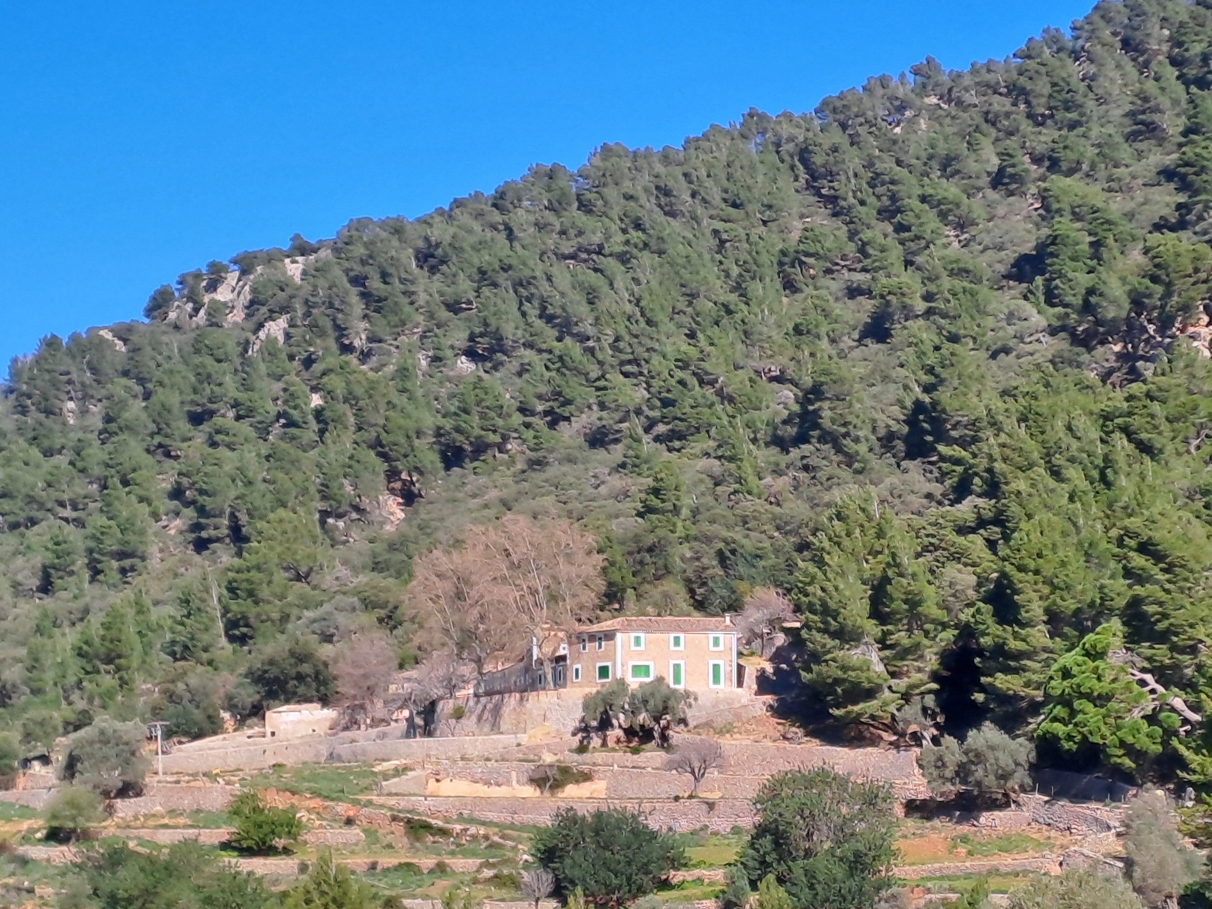 Imatge per al bloc 21