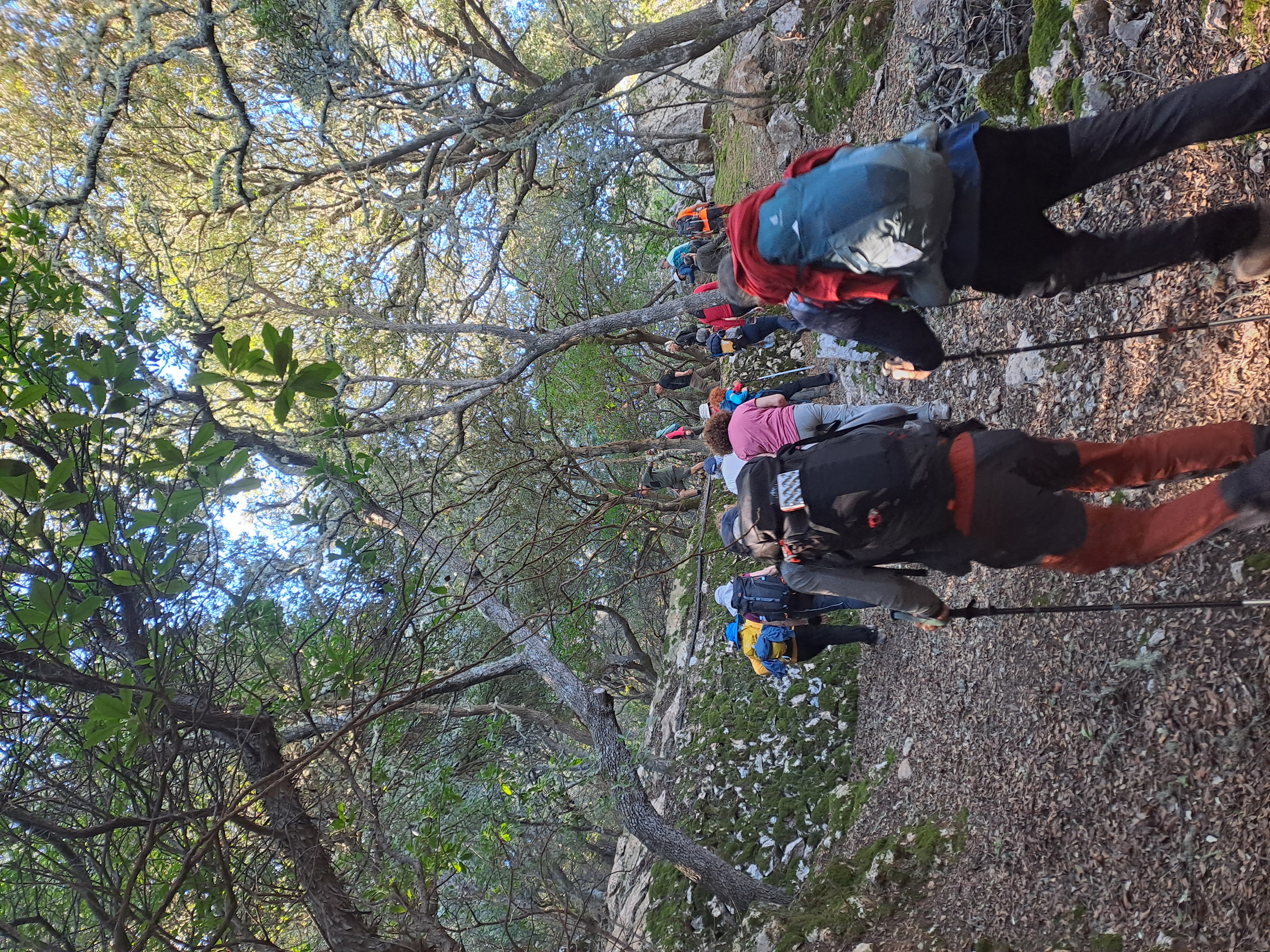 Imatge per al bloc 29