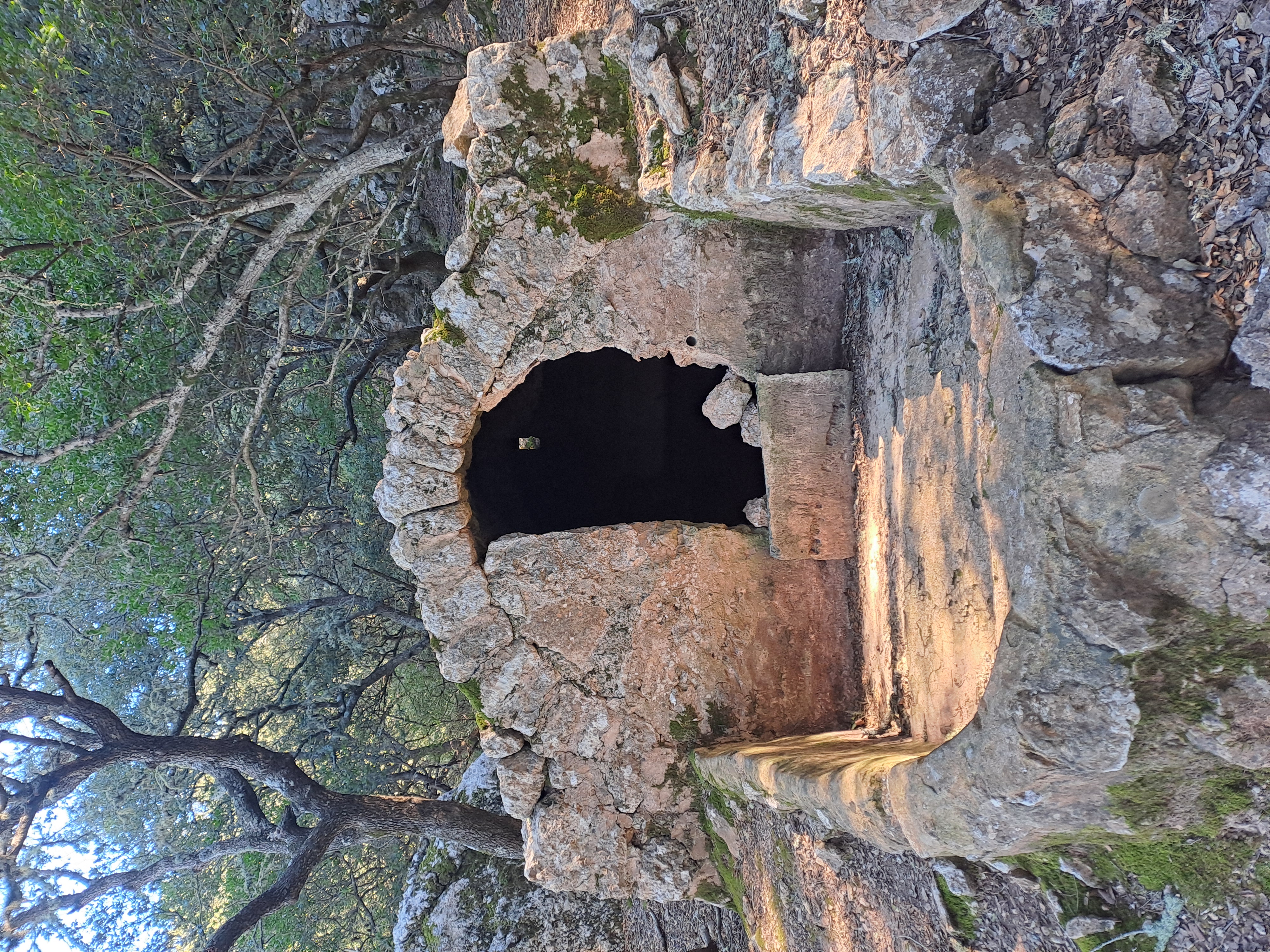 Imatge per al bloc 30