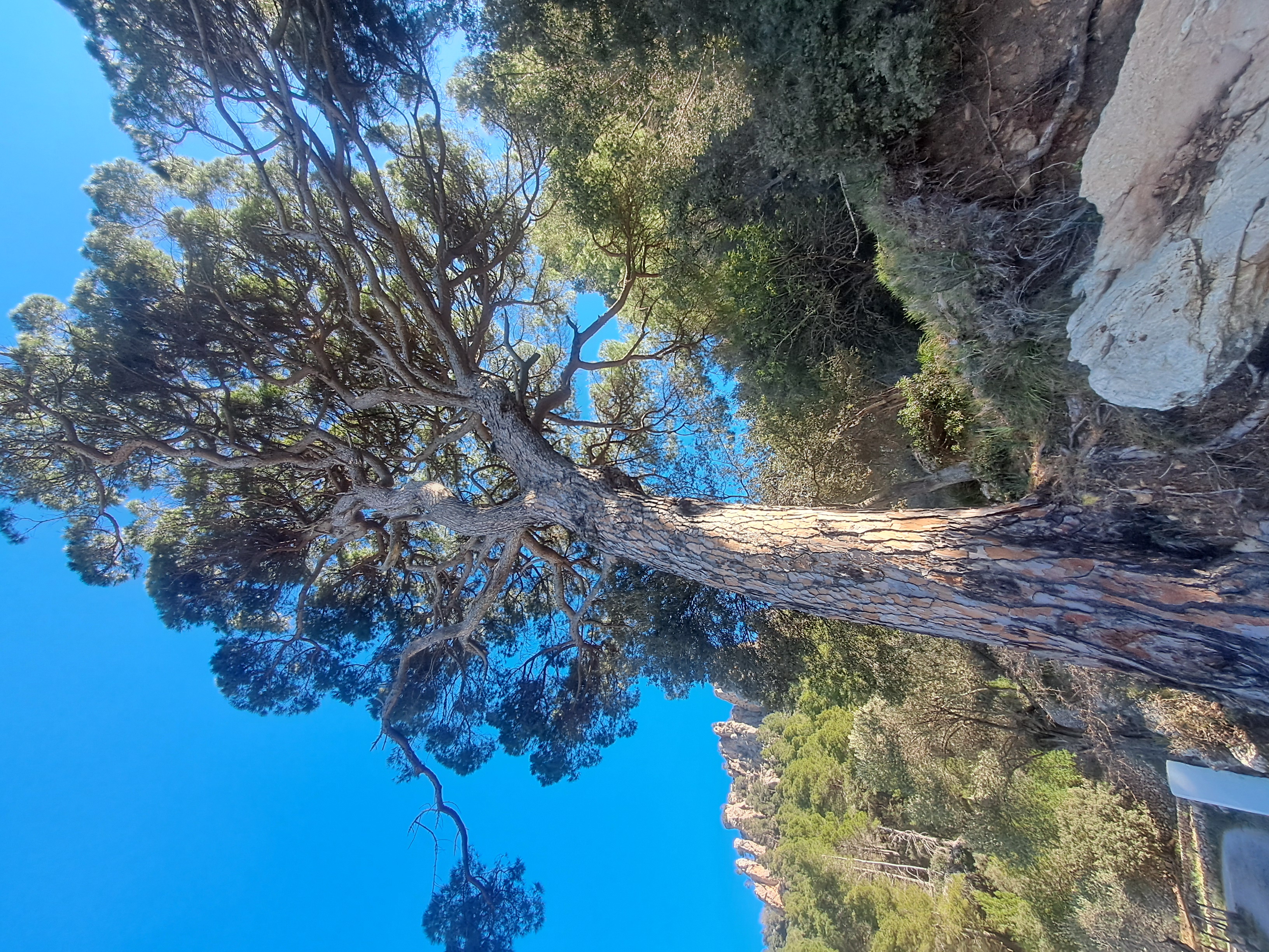 Imatge per al bloc 28