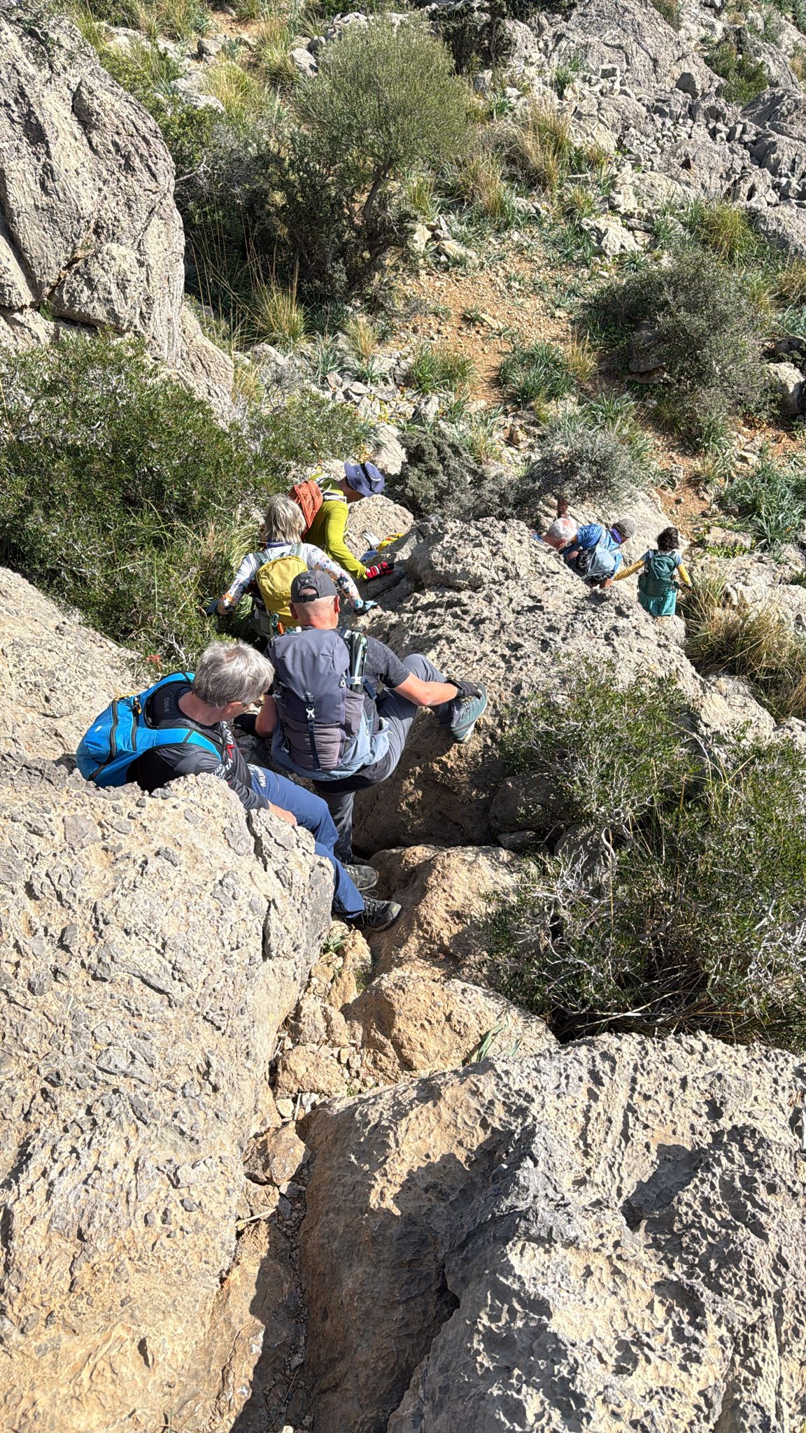 Imatge per al bloc 3