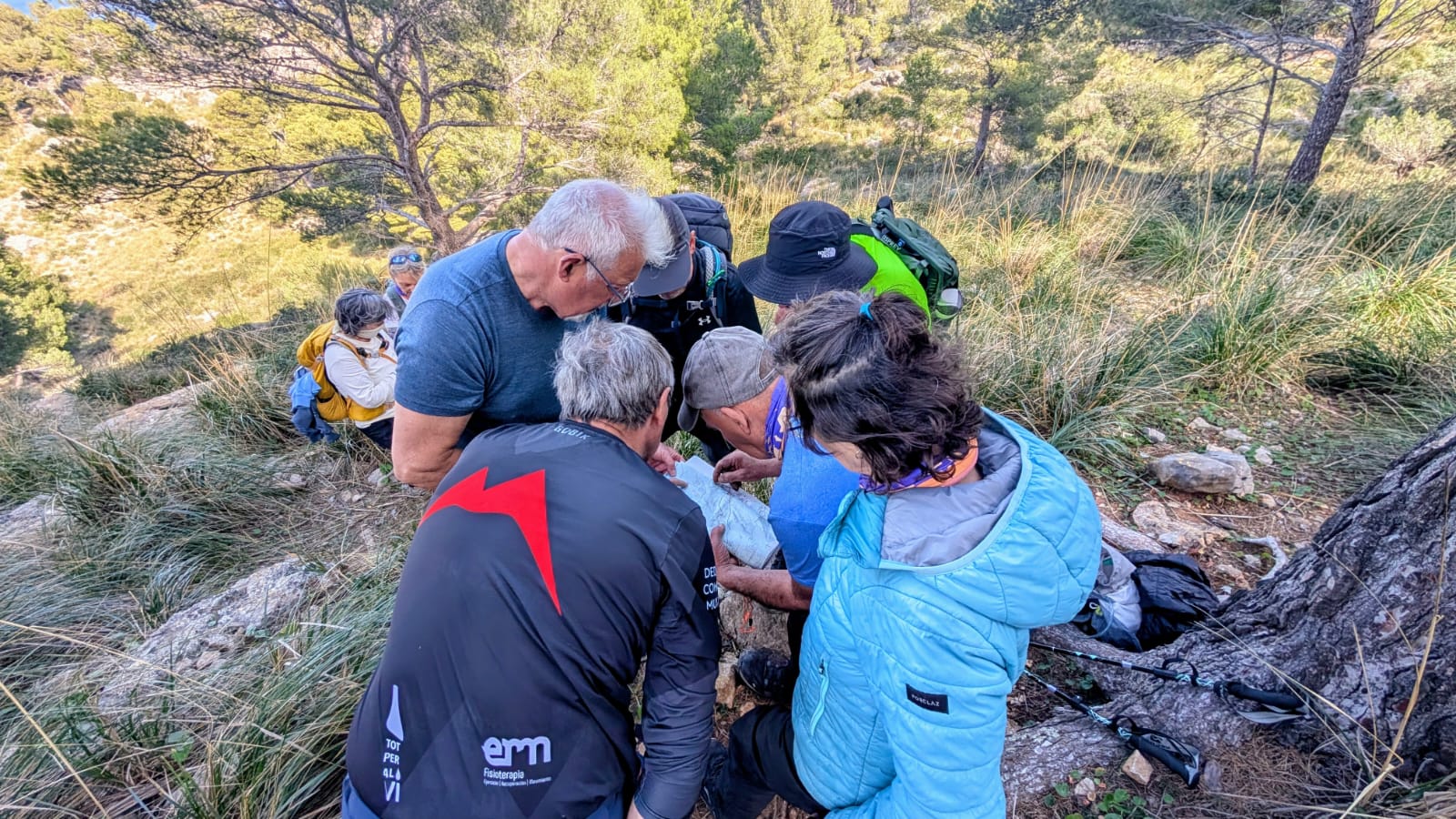 Imatge per al bloc 7