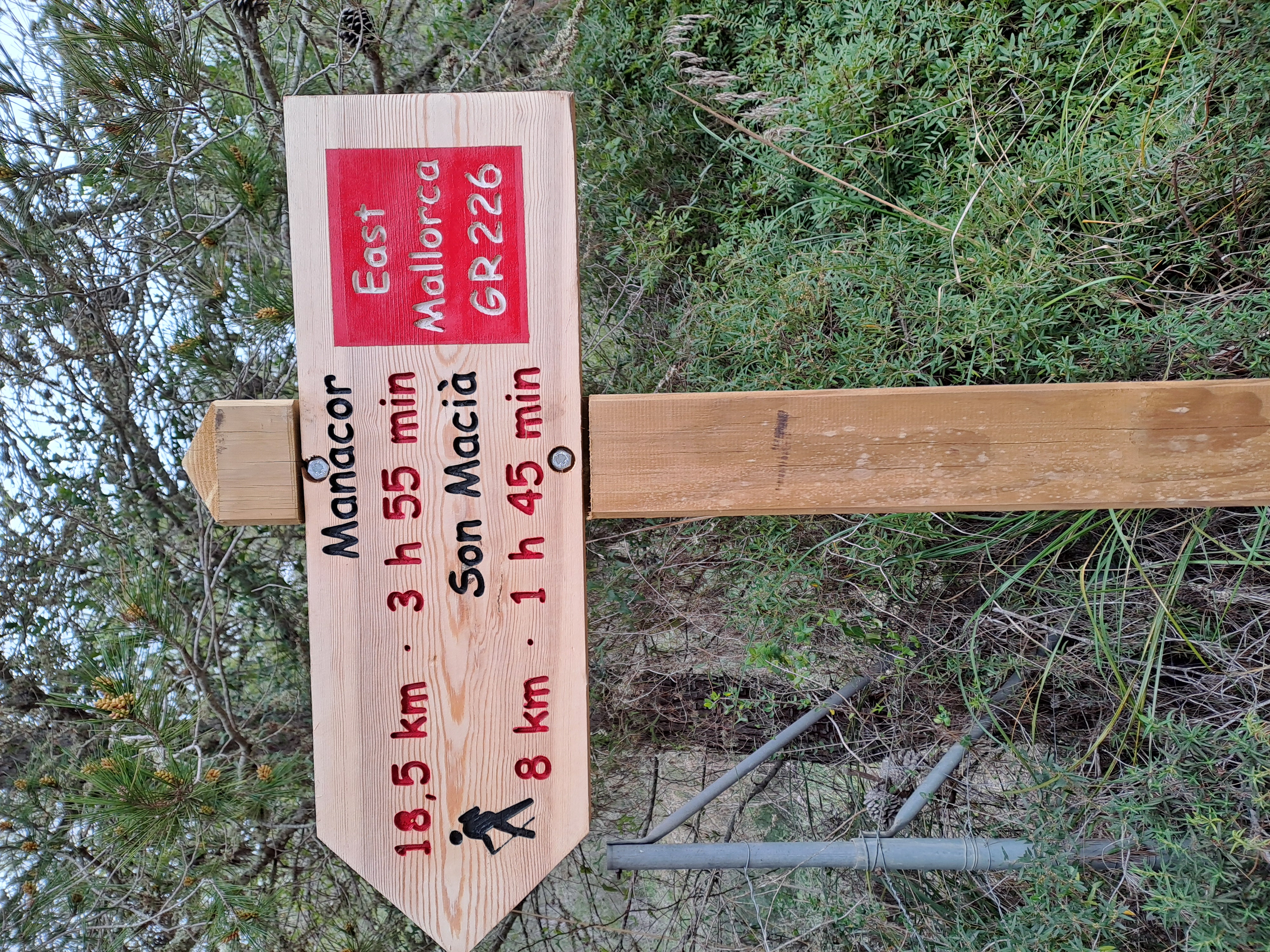 Imatge per al bloc 12