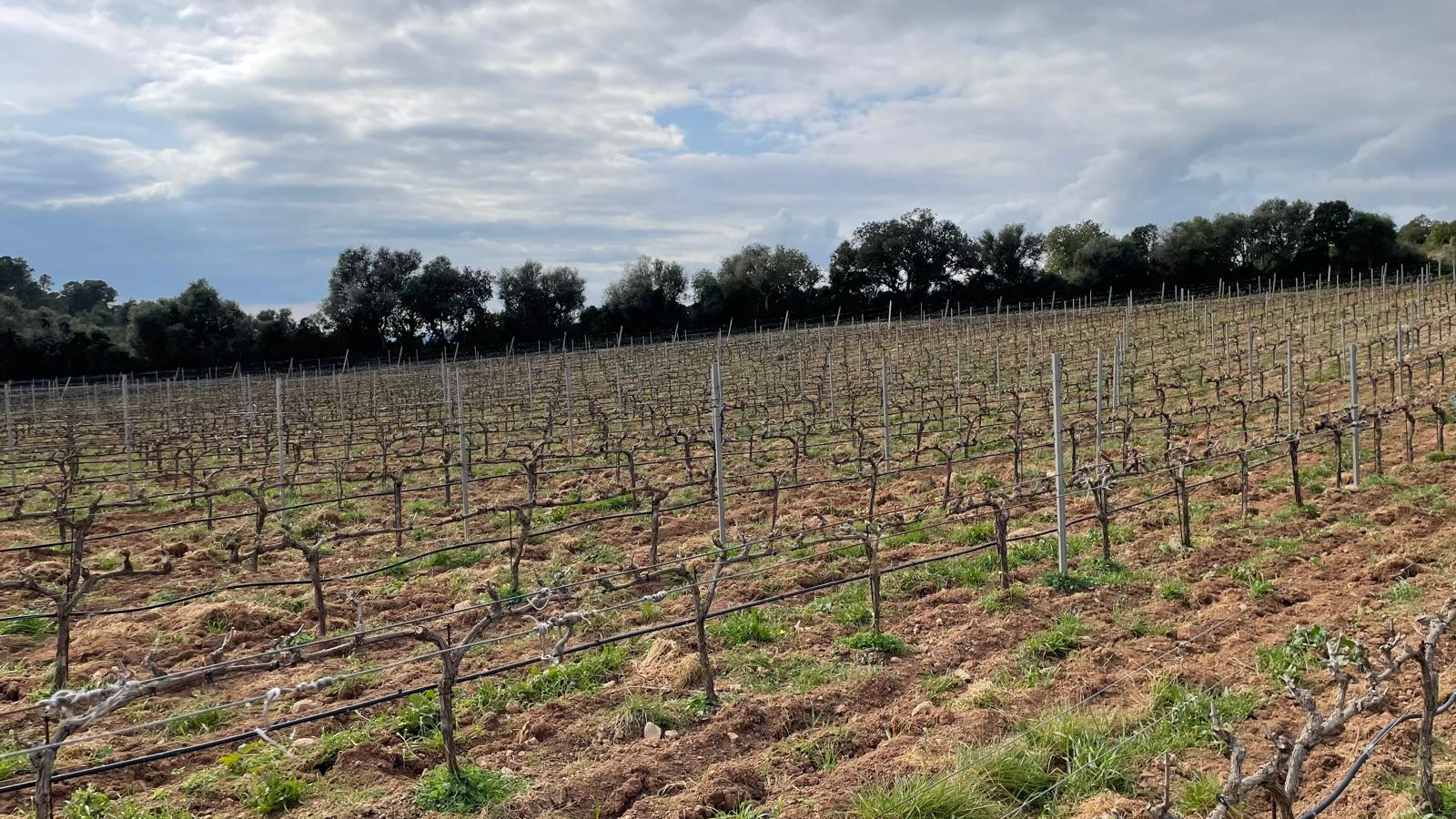 Imatge per al bloc 11