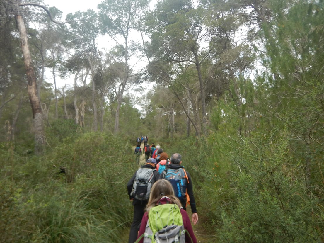 Imatge per al bloc 13