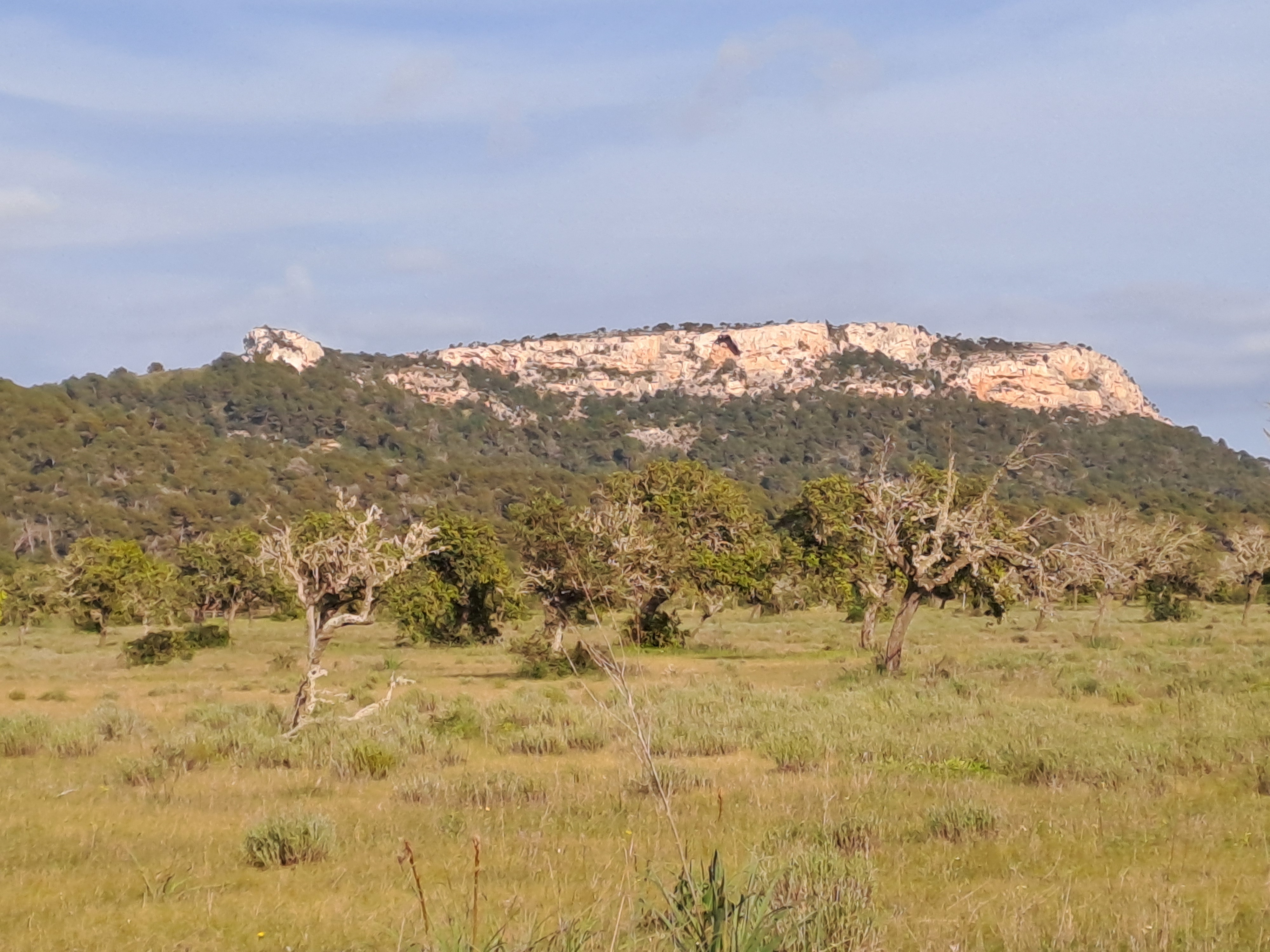 Imatge per al bloc 10