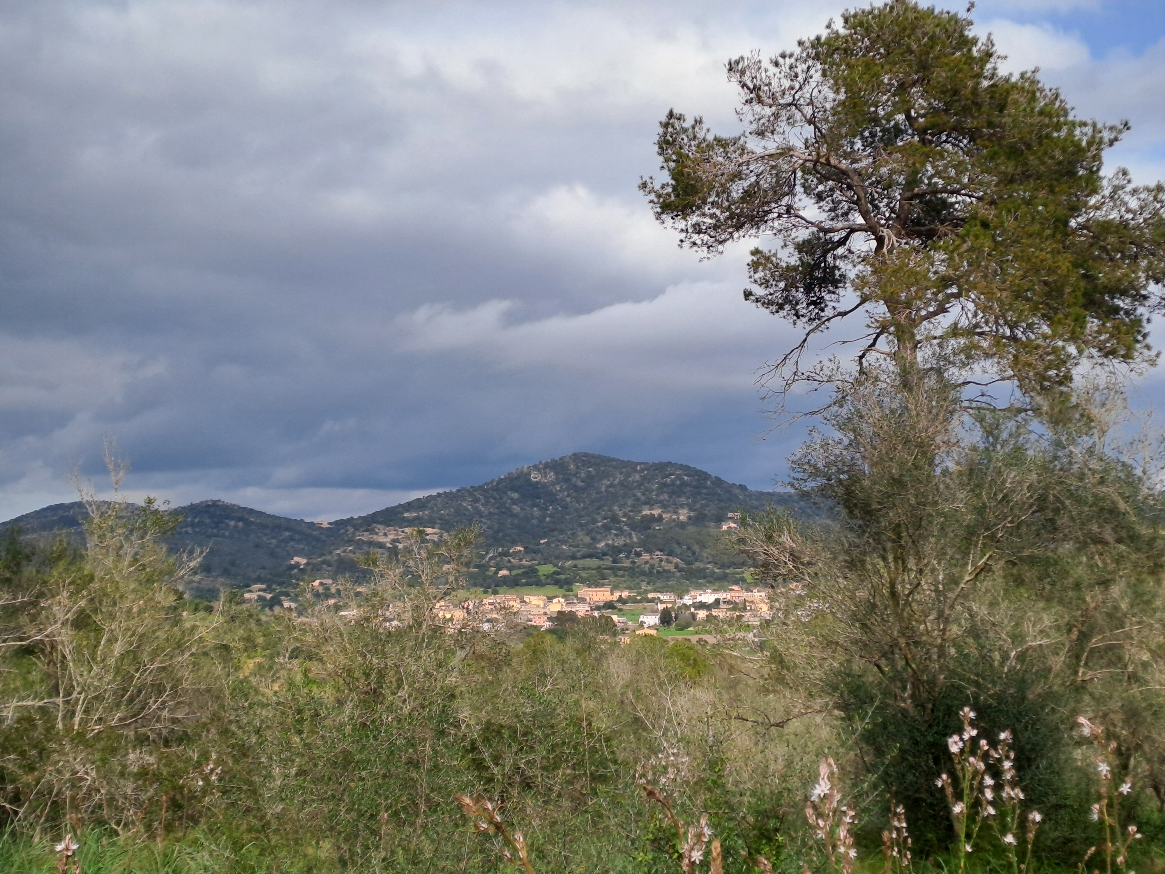 Imatge per al bloc 15